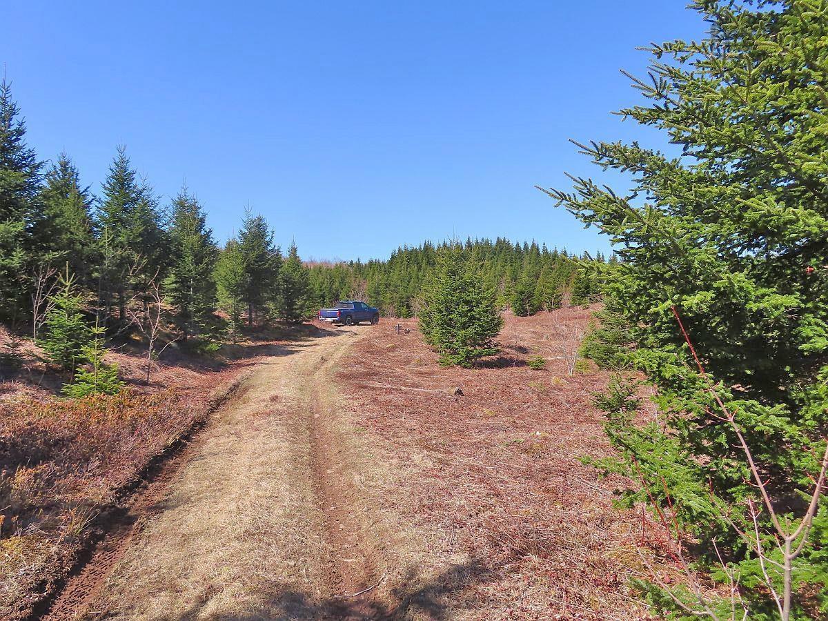 $345,000.00: 169.5 Acres Tompkinsville Road, Tompkinsville