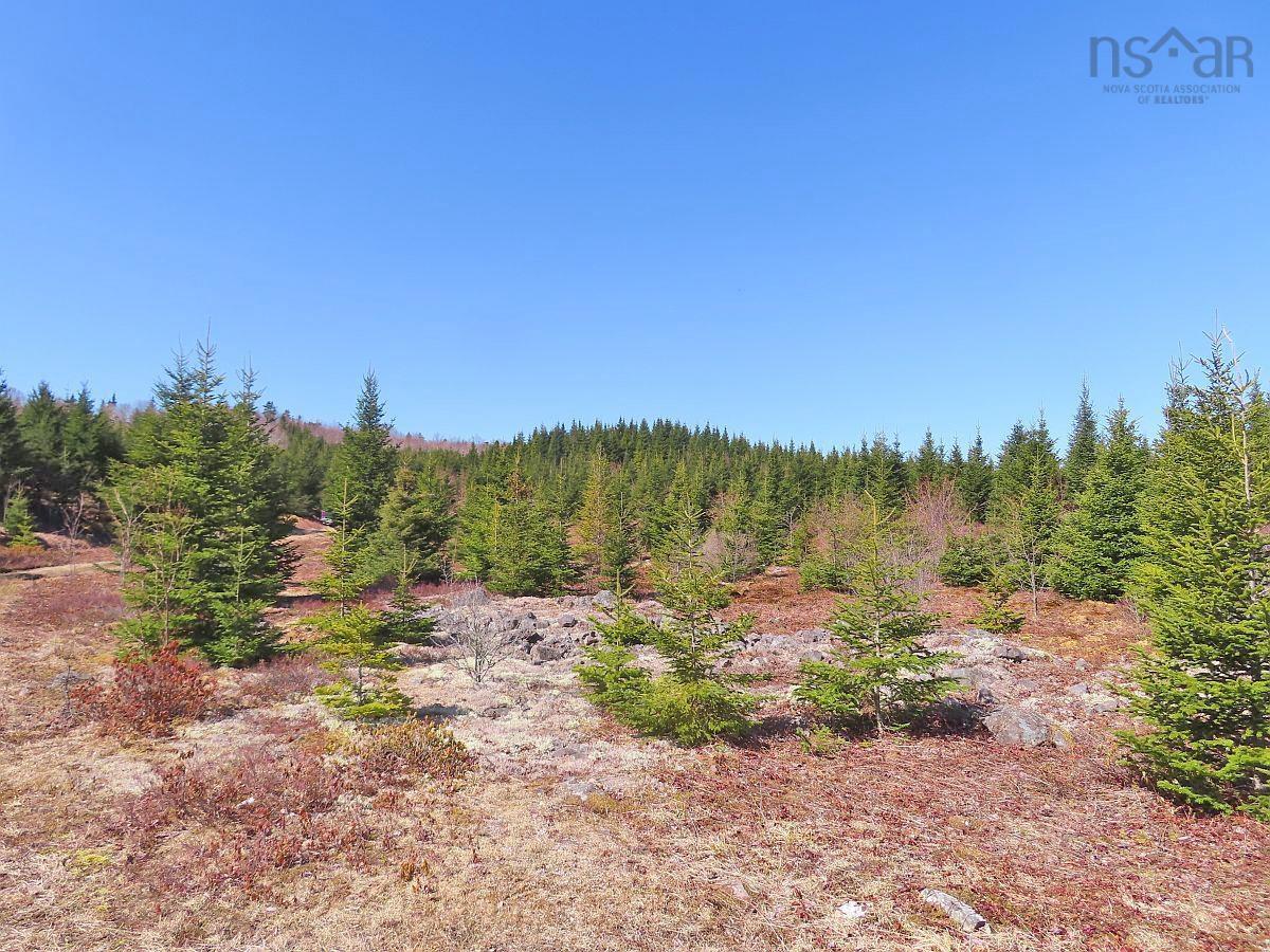 $345,000.00: 169.5 Acres Tompkinsville Road, Tompkinsville