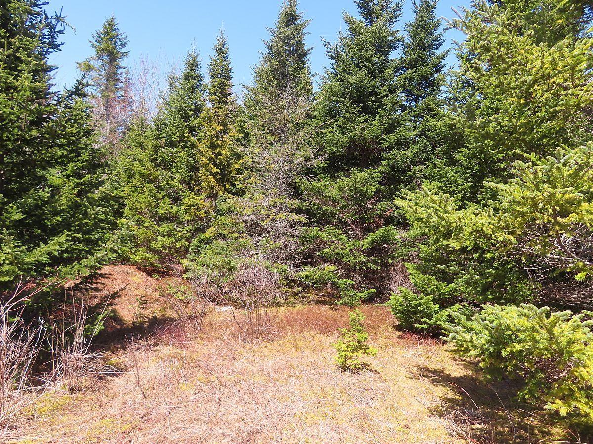 $345,000.00: 169.5 Acres Tompkinsville Road, Tompkinsville