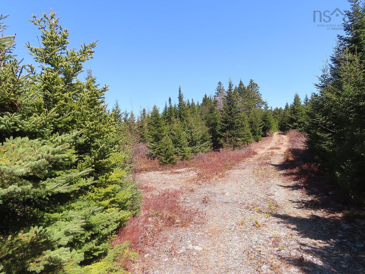 $345,000.00: 169.5 Acres Tompkinsville Road, Tompkinsville