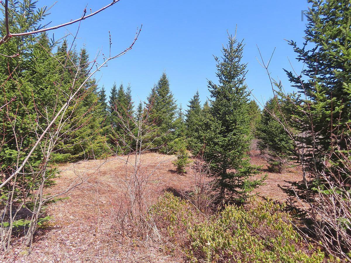 $345,000.00: 169.5 Acres Tompkinsville Road, Tompkinsville