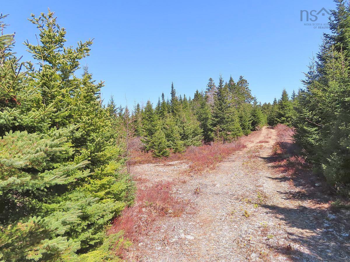 $345,000.00: 169.5 Acres Tompkinsville Road, Tompkinsville