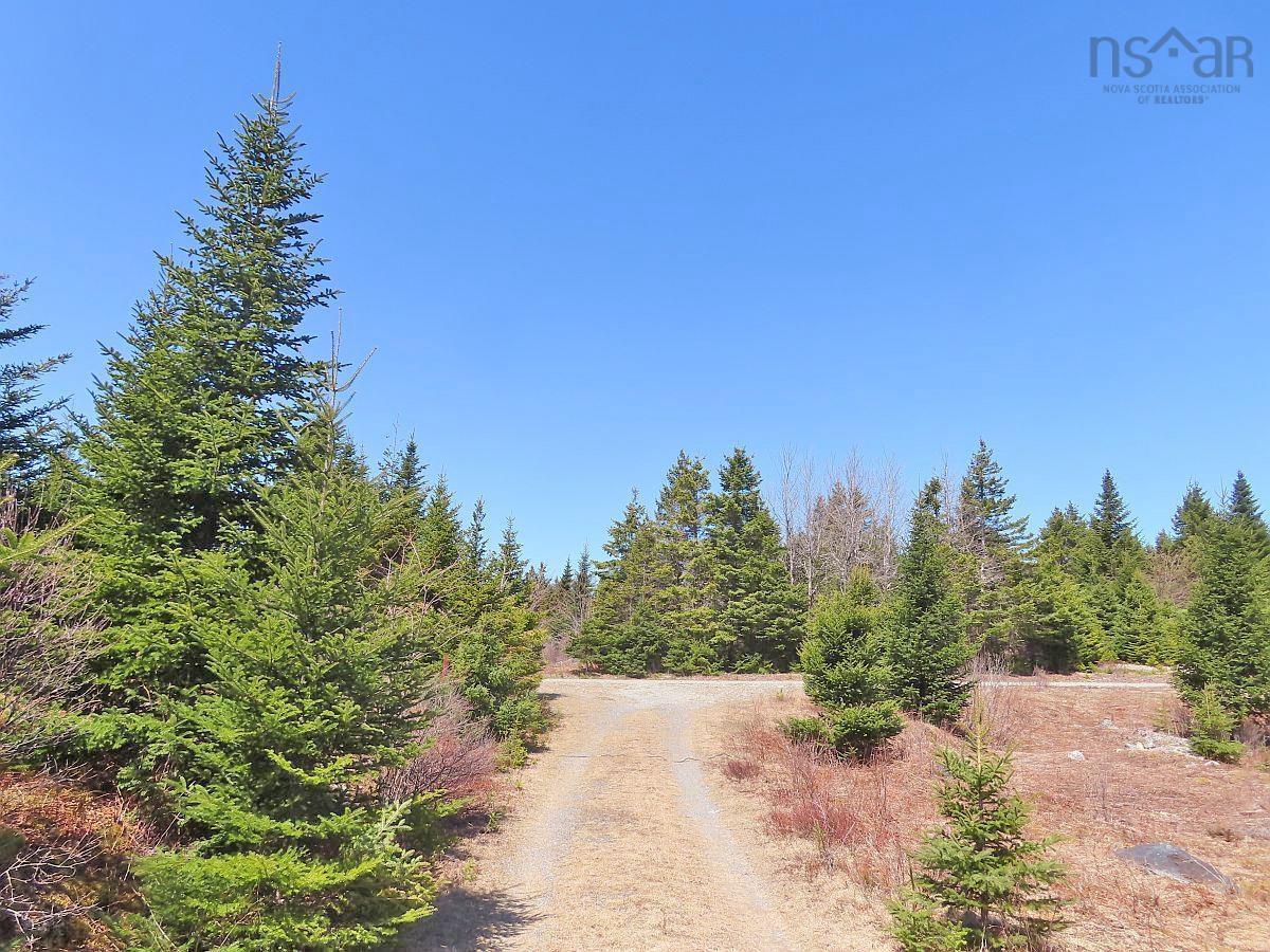 $345,000.00: 169.5 Acres Tompkinsville Road, Tompkinsville