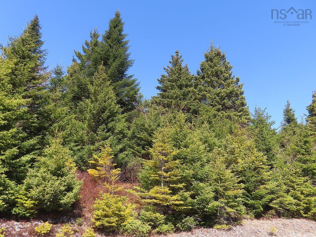 $345,000.00: 169.5 Acres Tompkinsville Road, Tompkinsville