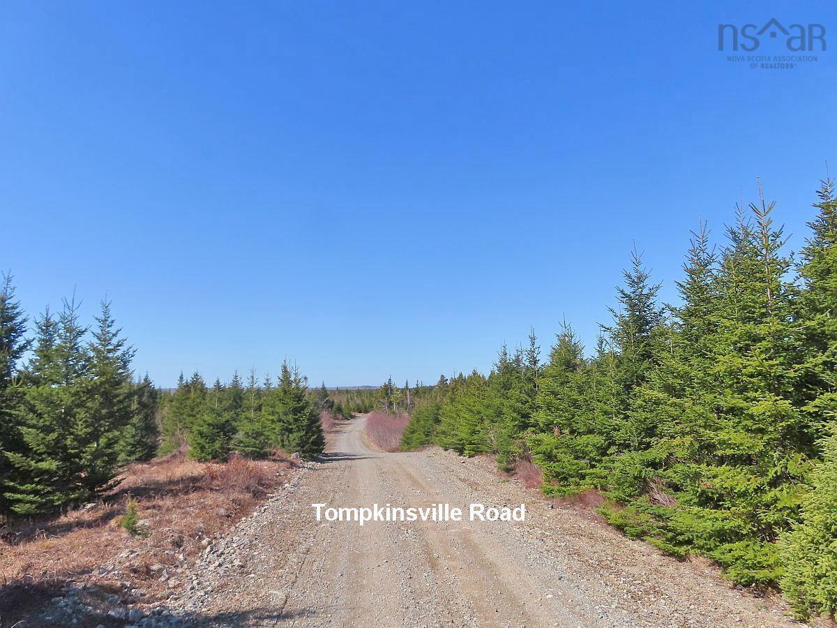 $345,000.00: 169.5 Acres Tompkinsville Road, Tompkinsville