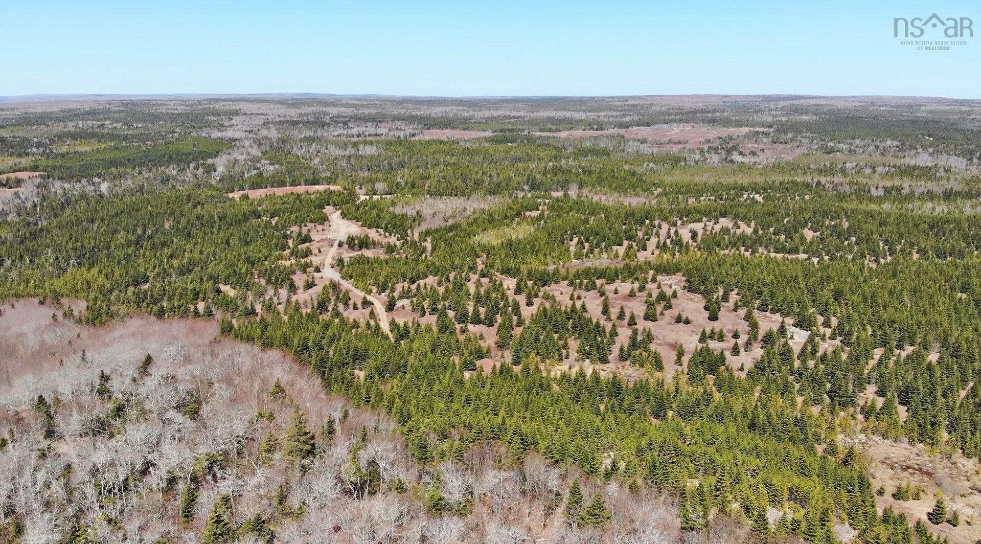 $345,000.00: 169.5 Acres Tompkinsville Road, Tompkinsville