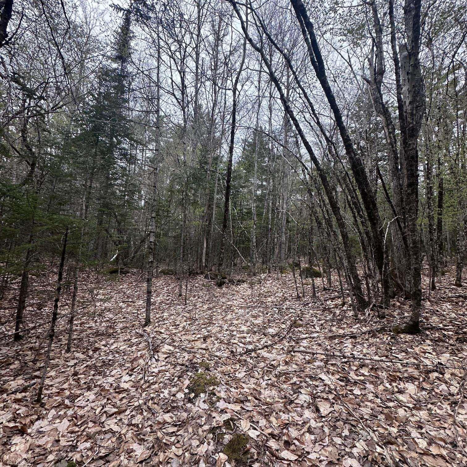 $28,000.00: Lot 10 Moose Pit Road, Westfield
