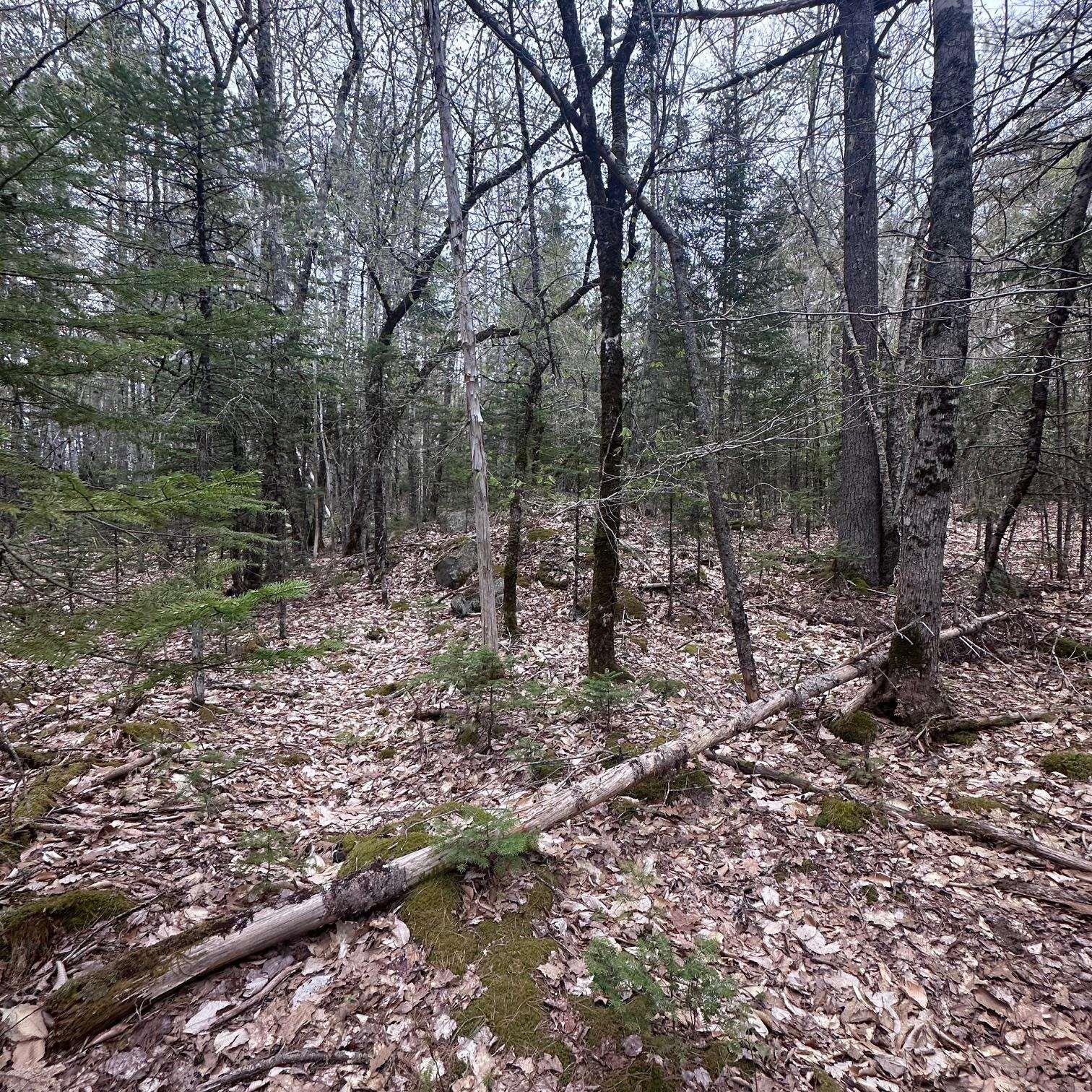 $28,000.00: Lot 10 Moose Pit Road, Westfield