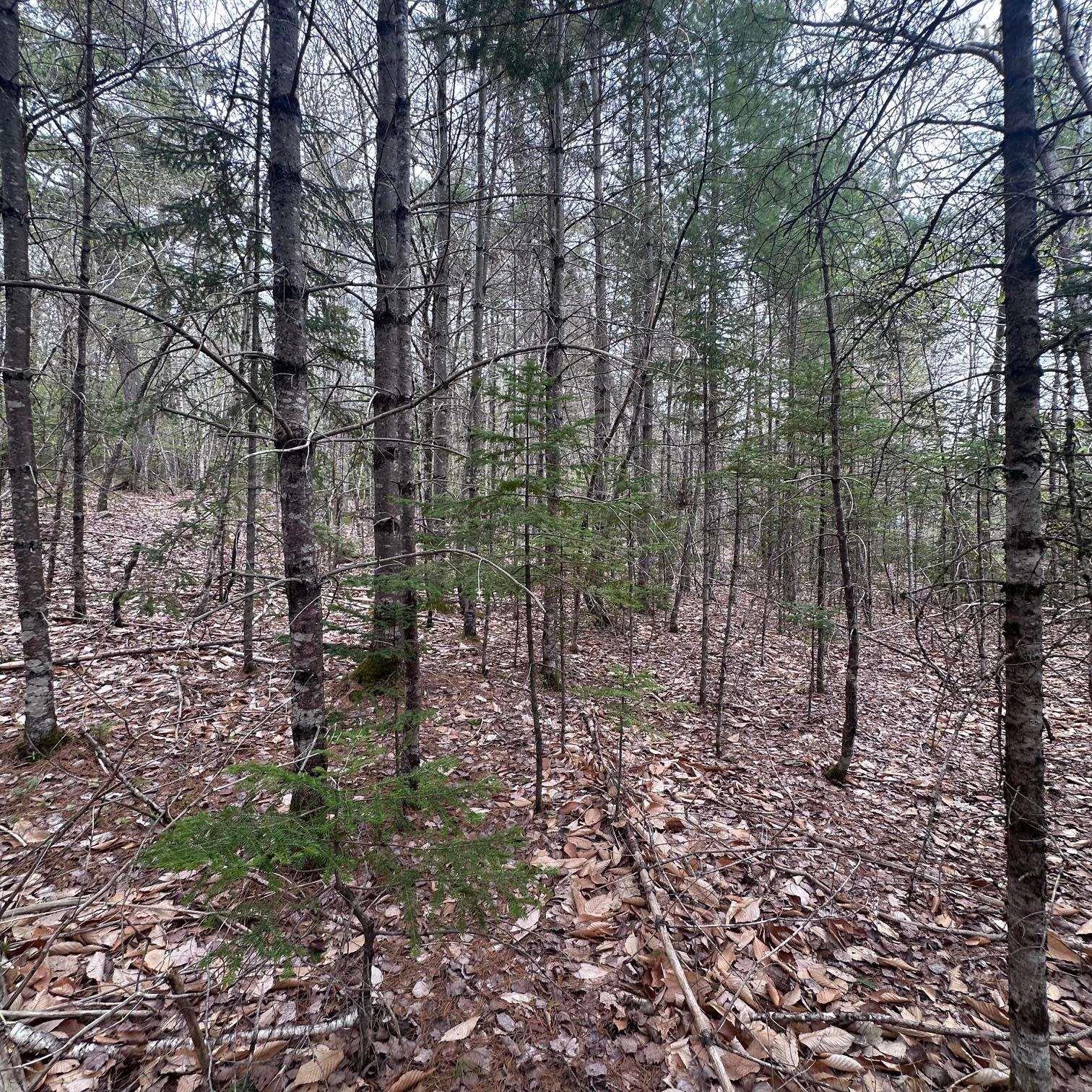 $28,000.00: Lot 10 Moose Pit Road, Westfield