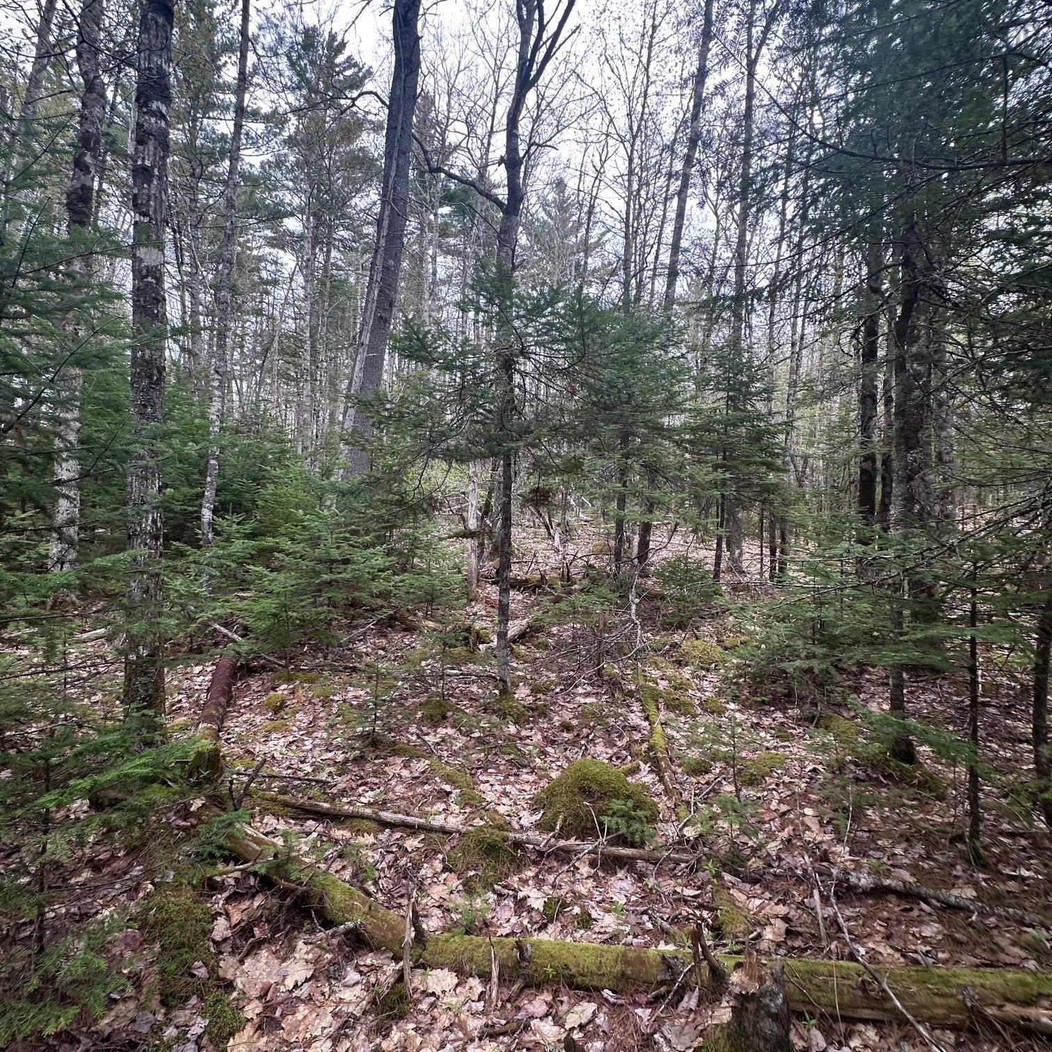 $28,000.00: Lot 10 Moose Pit Road, Westfield