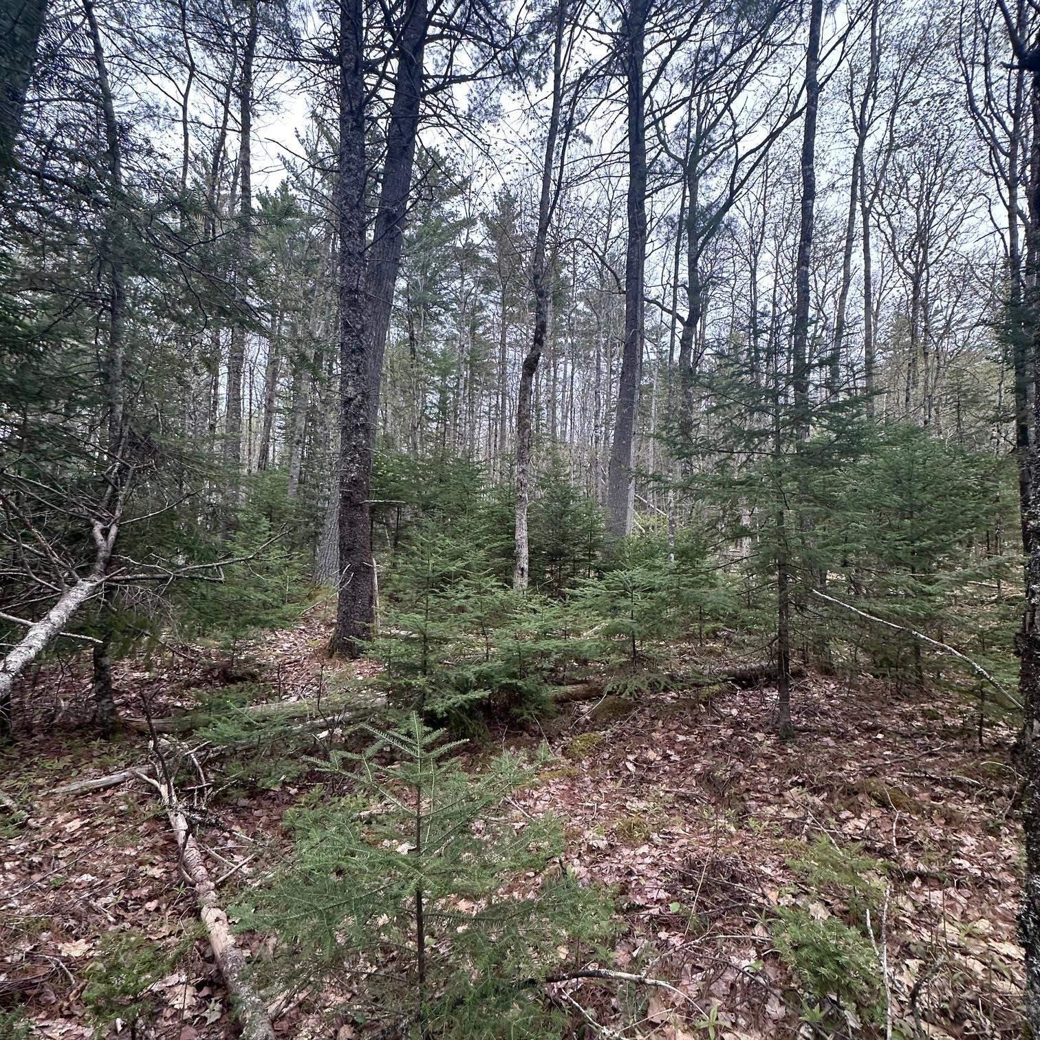 $28,000.00: Lot 10 Moose Pit Road, Westfield