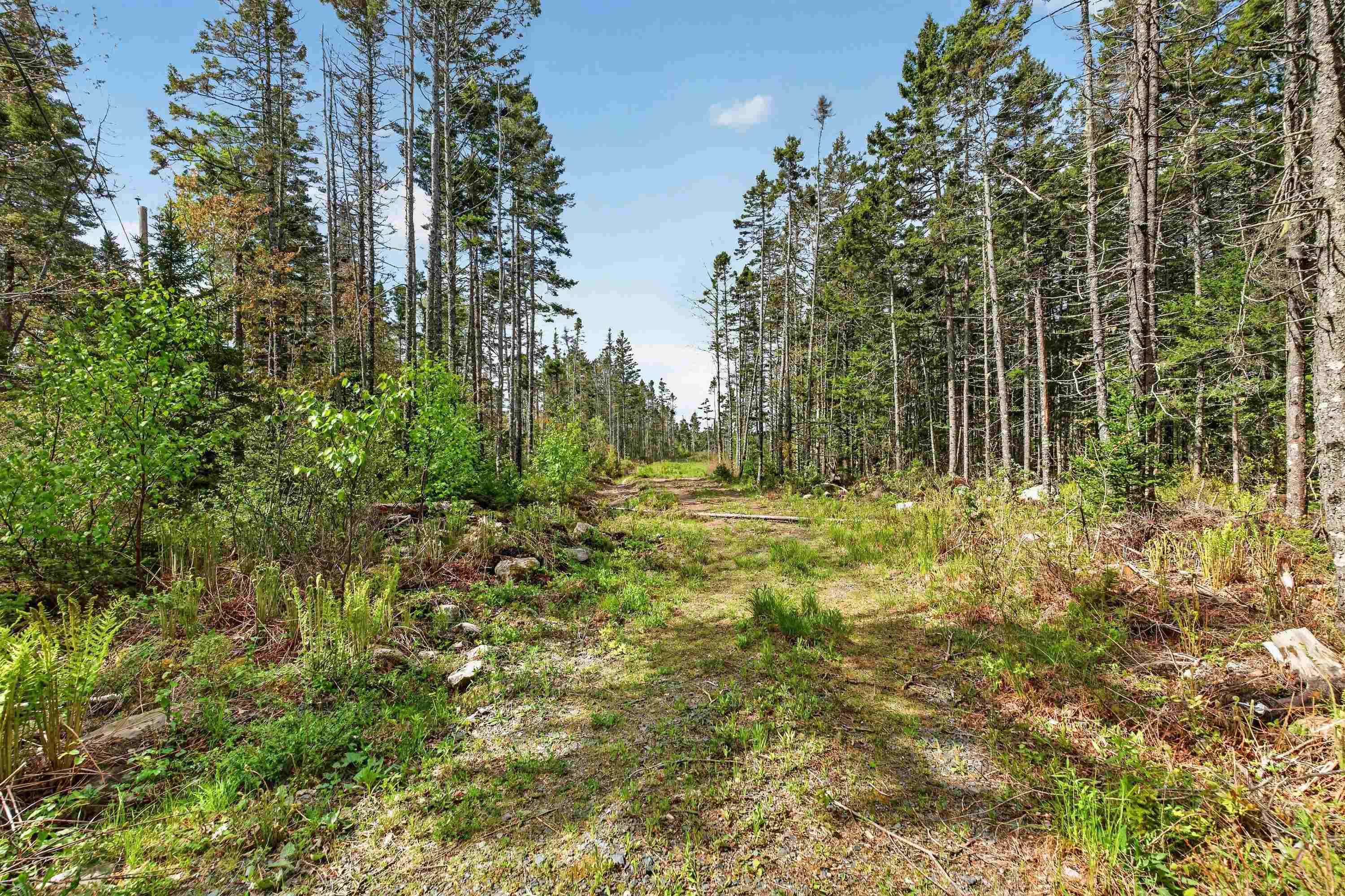 210 Moser Island Road, Glen Margaret, NS (MLS 202612461)