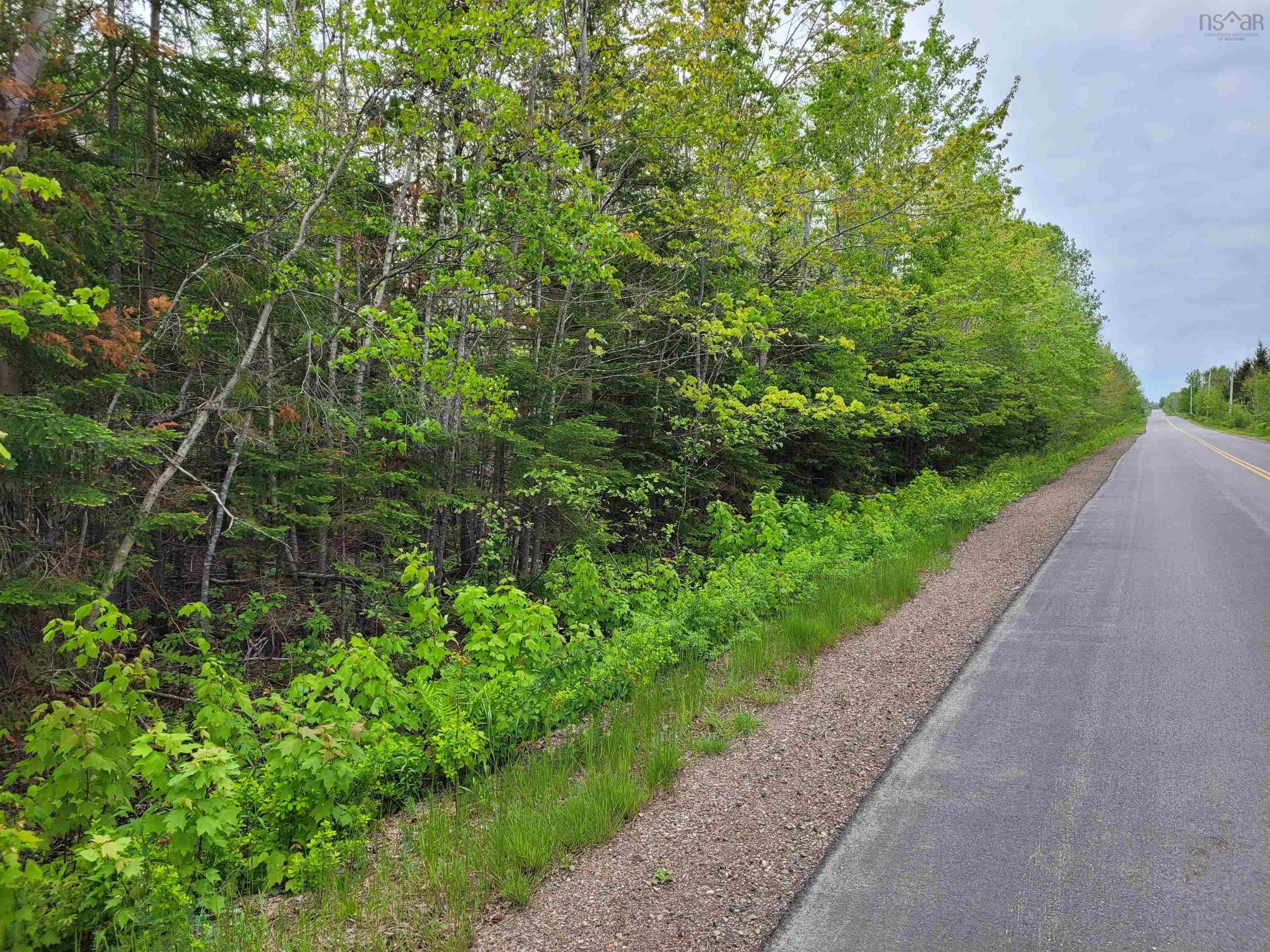 Tattrie Settlement Road, French River, NS (MLS® 202612475)