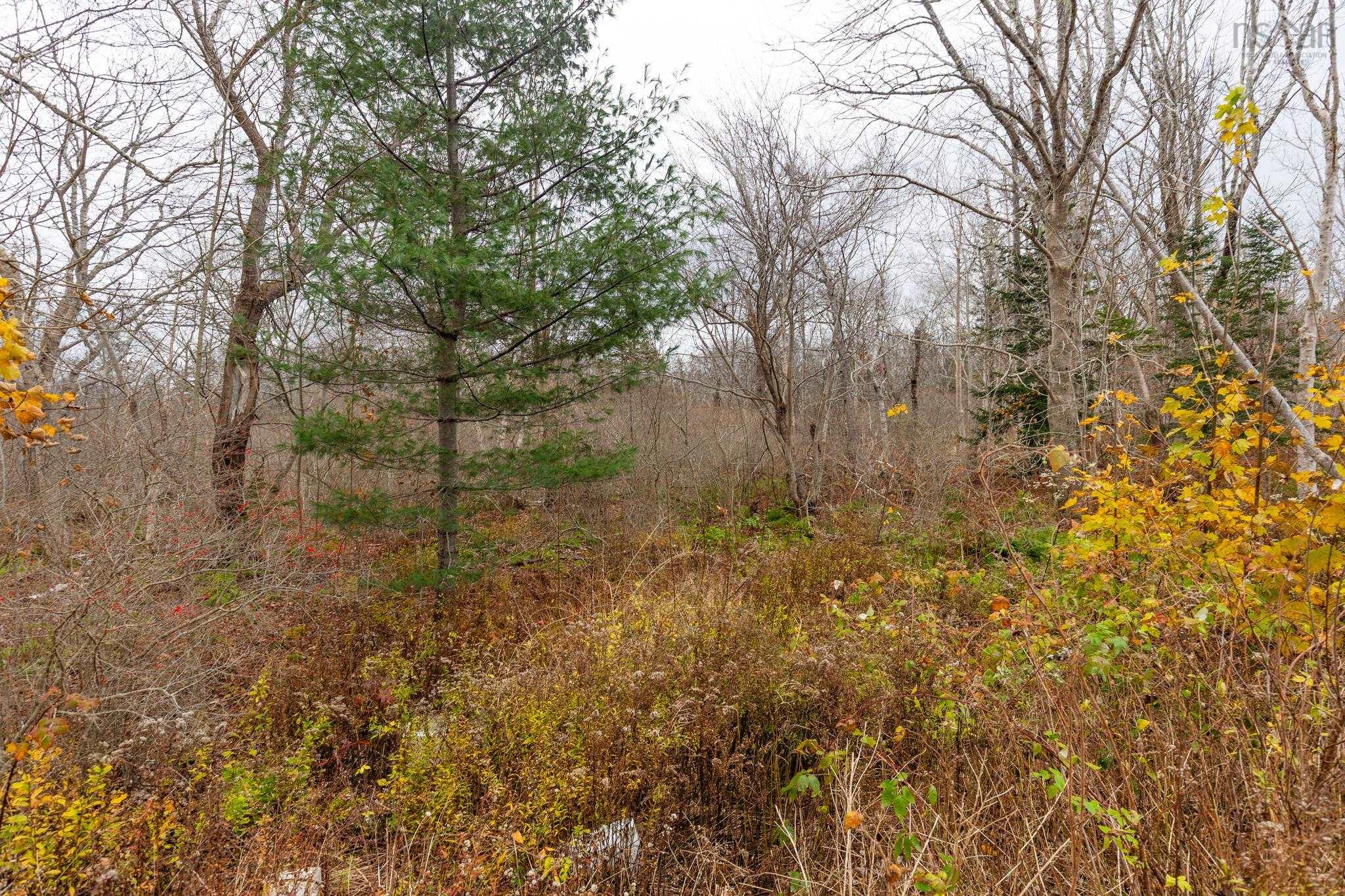 $289,000.00: 9333 Highway 3, Pleasant Lake