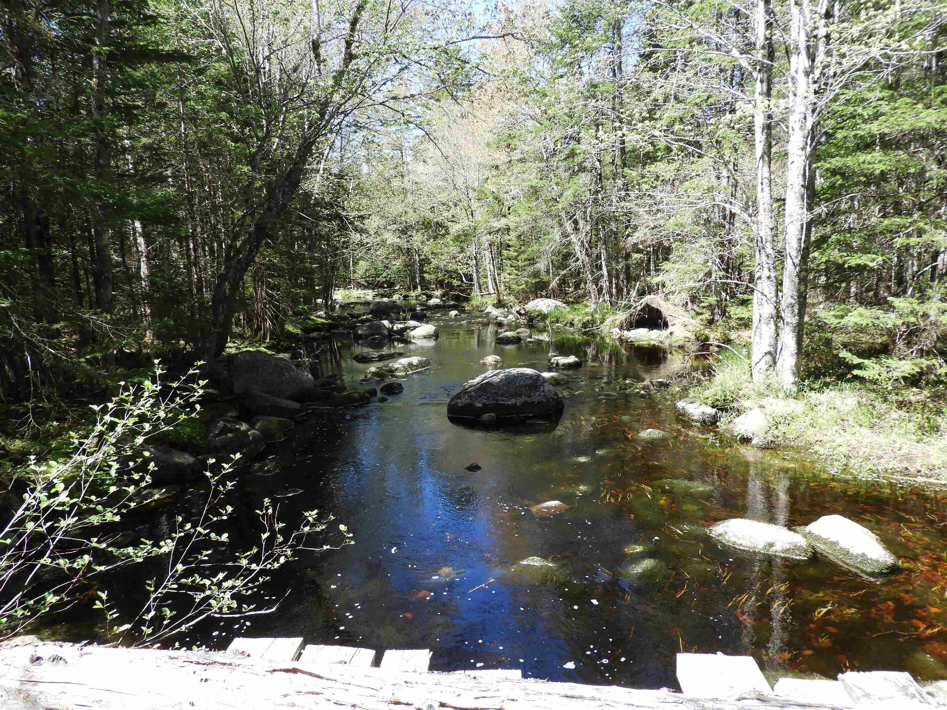 $169,900.00: Lot Forties Road, Forties
