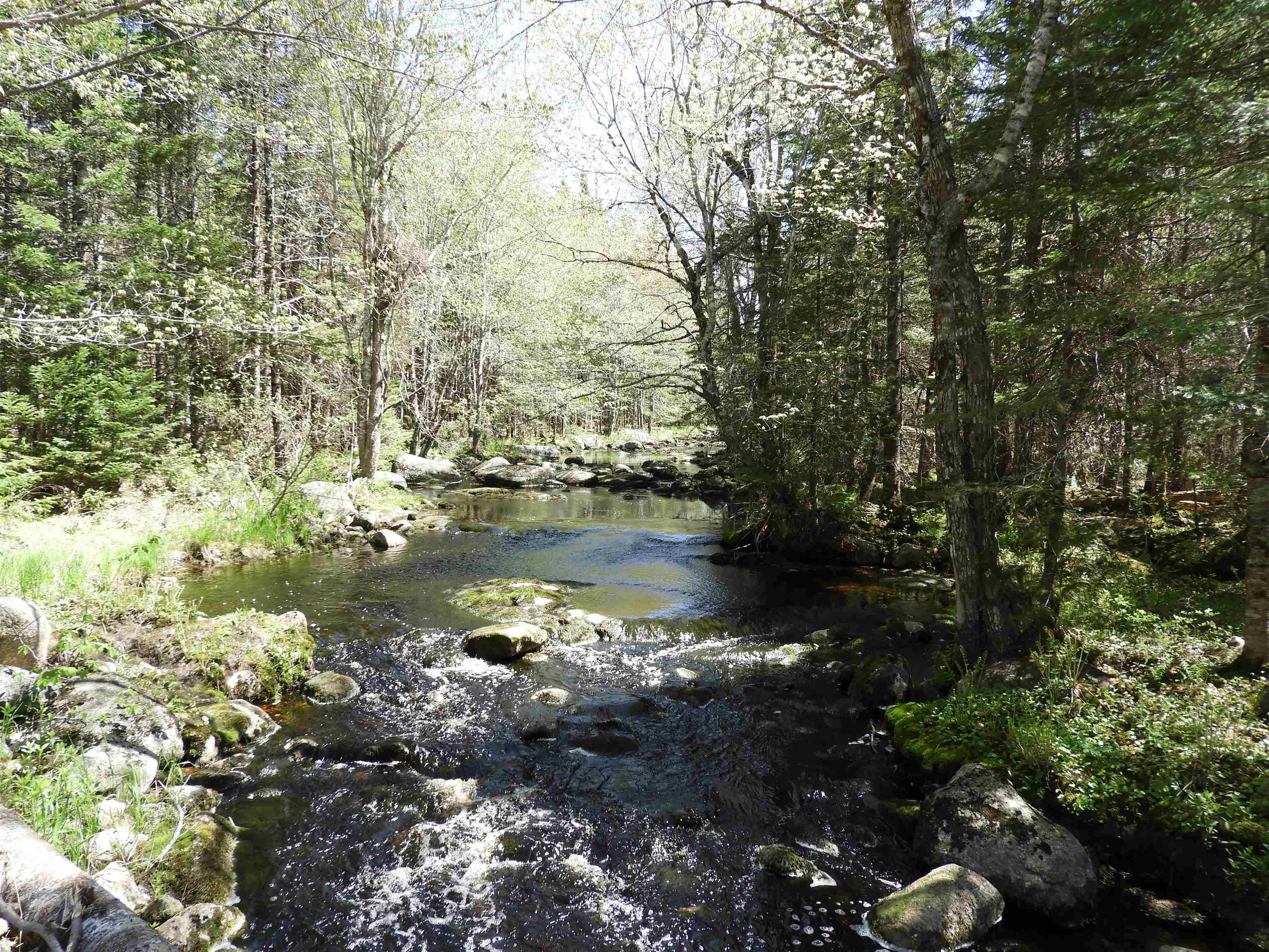 $169,900.00: Lot Forties Road, Forties