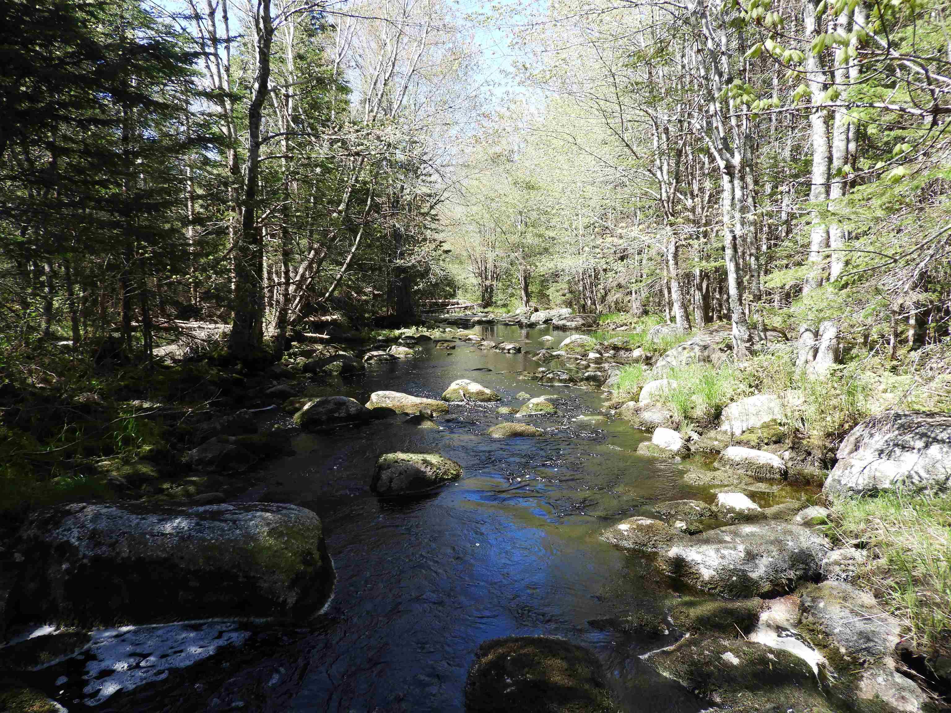 $169,900.00: Lot Forties Road, Forties