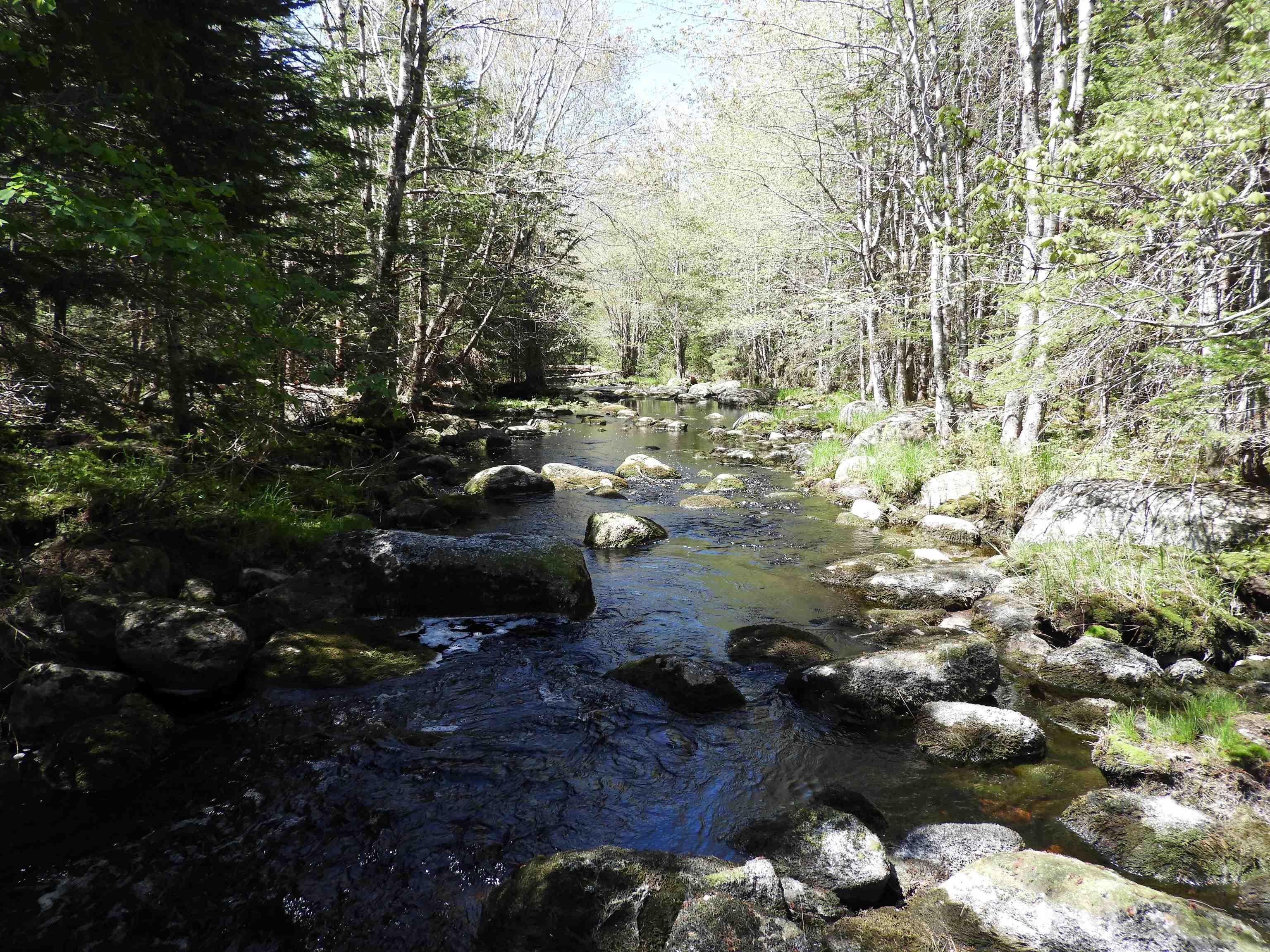 $169,900.00: Lot Forties Road, Forties