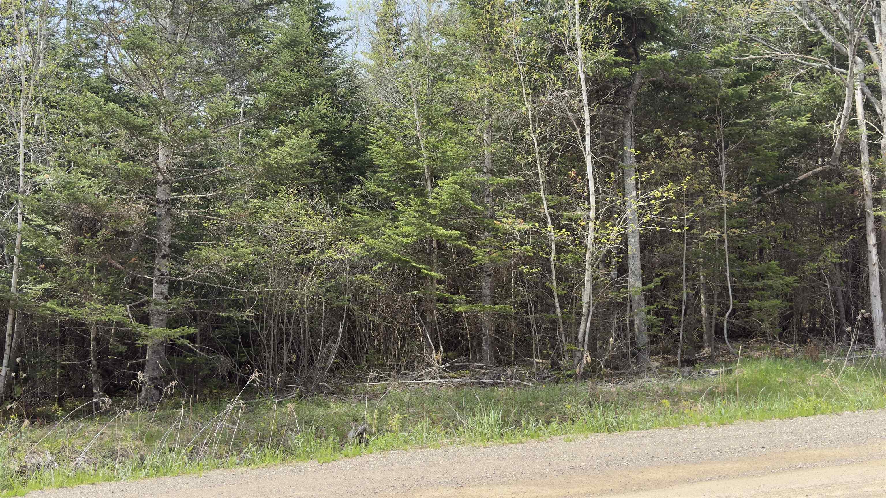 $49,900.00: Lot 26-1 Beech Hill Road, Princeport