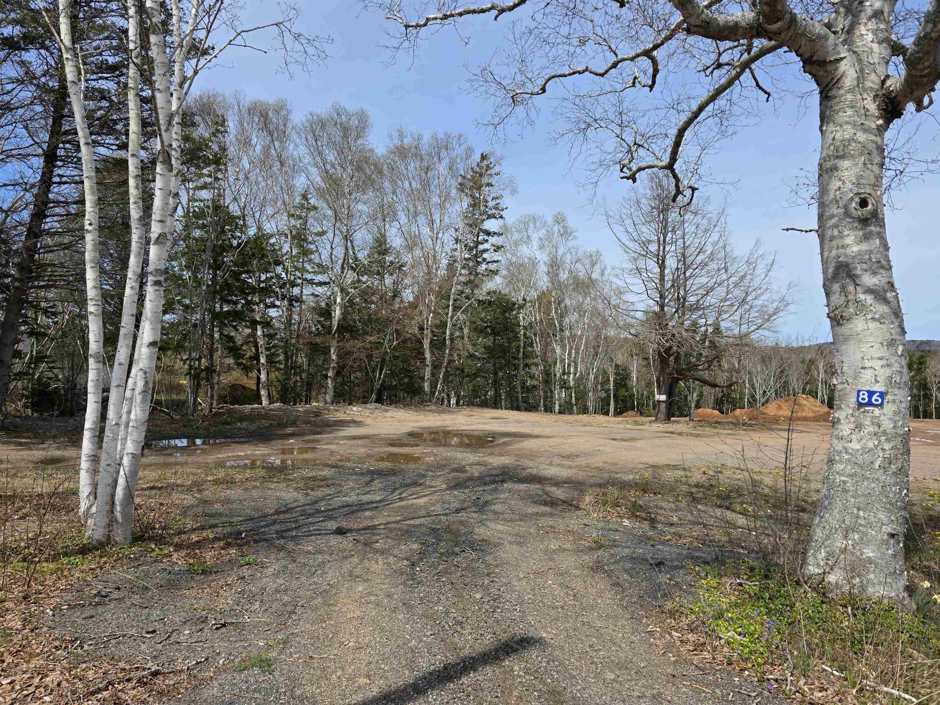 $129,000.00: 86 Carleton Street, Digby