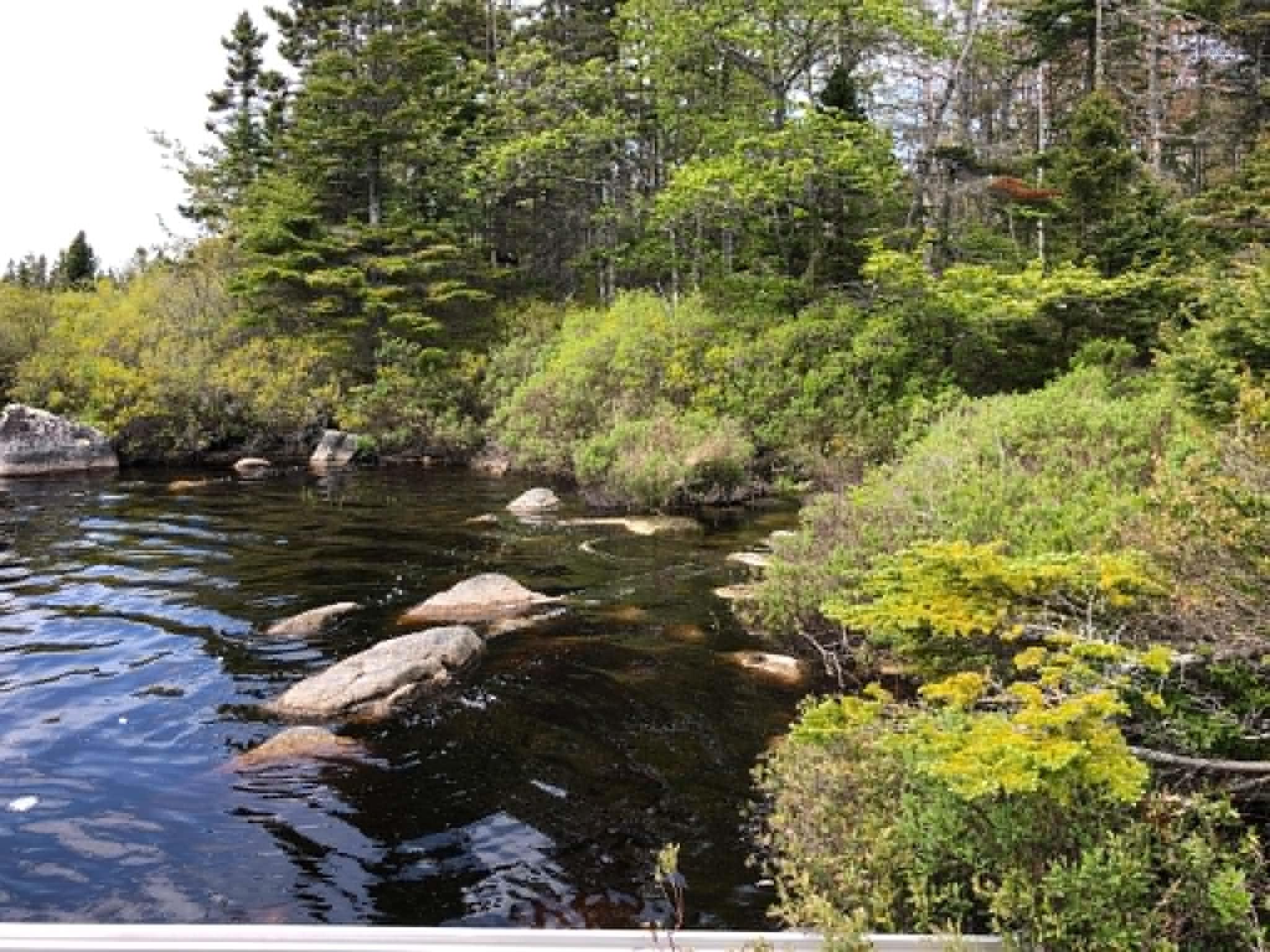 $221,900.00: Lot 38 343 Portovista Lane, Portuguese Cove