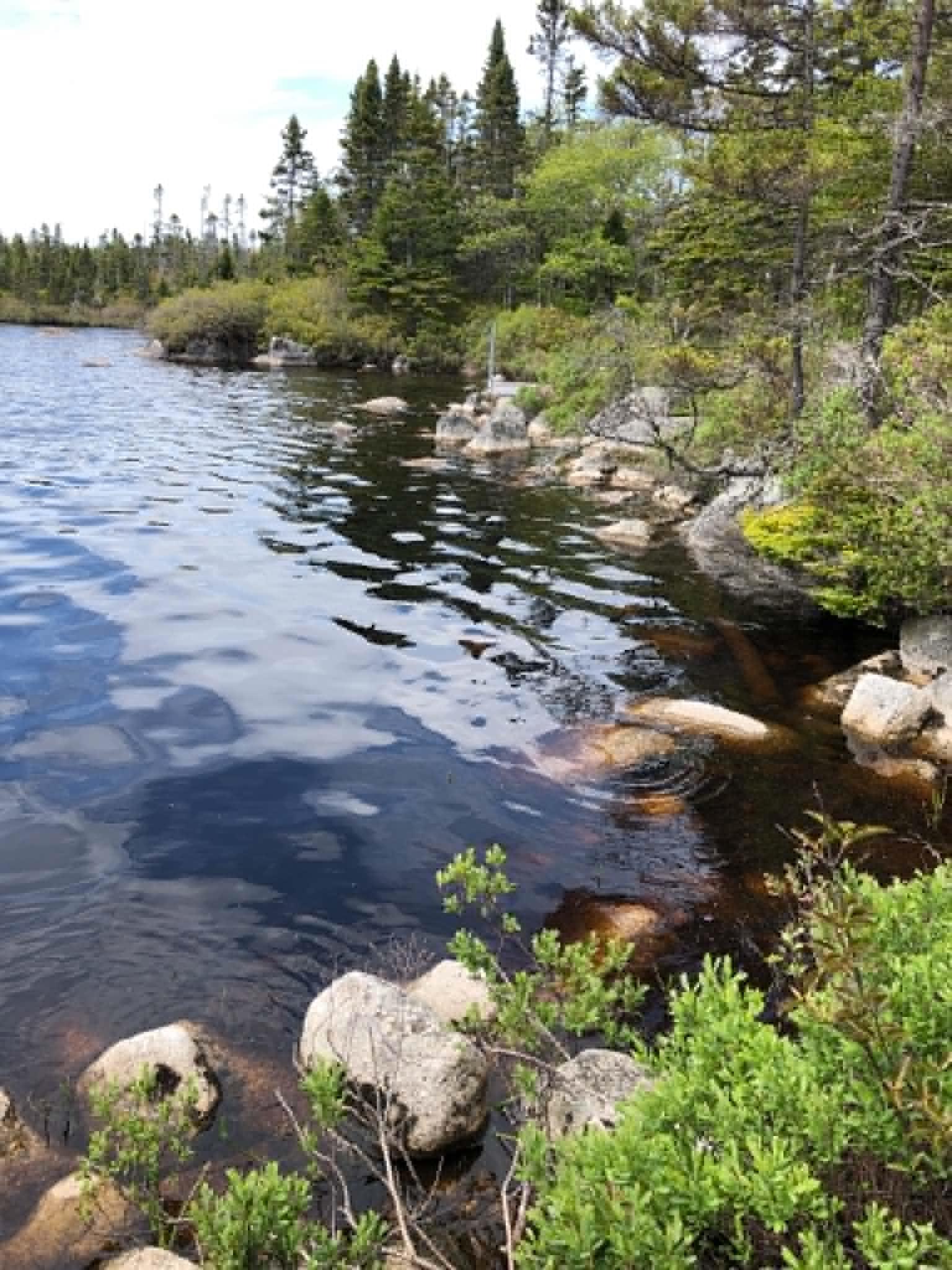 $221,900.00: Lot 38 343 Portovista Lane, Portuguese Cove