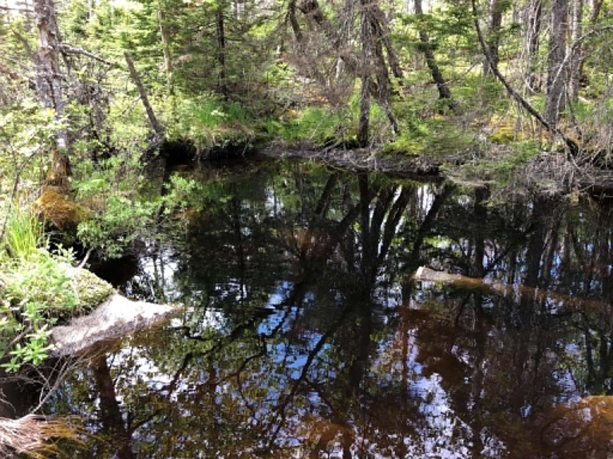 $221,900.00: Lot 38 343 Portovista Lane, Portuguese Cove