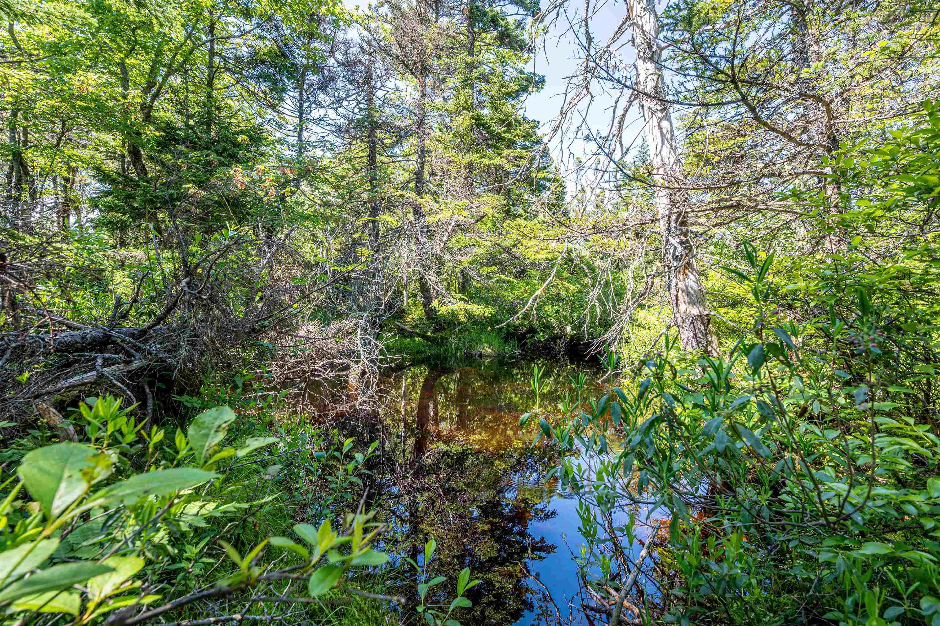 Lot 38 343 Portovista Lane, Portuguese Cove, NS (MLS 202612592)