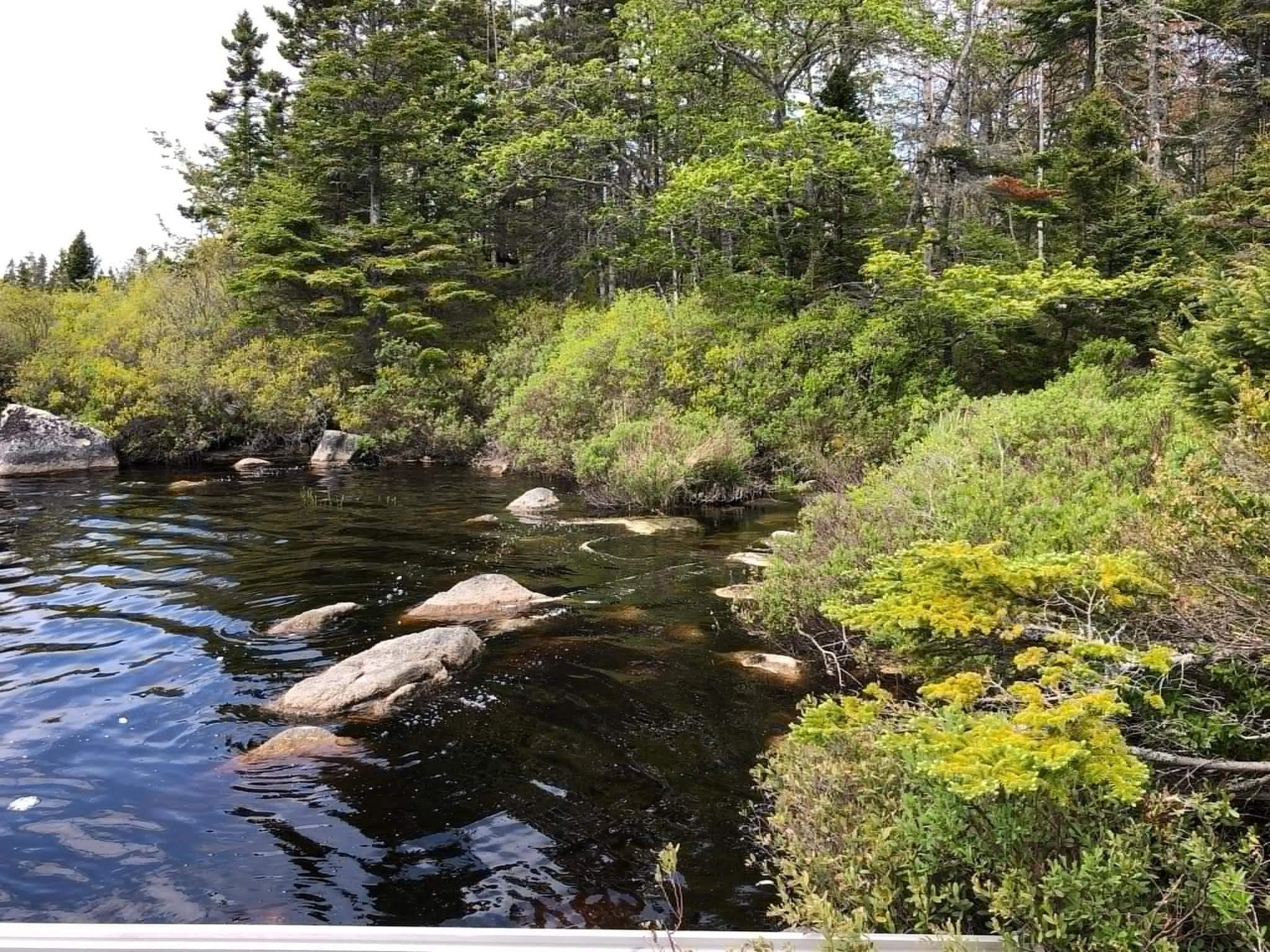 $221,900.00: Lot 38 343 Portovista Lane, Portuguese Cove