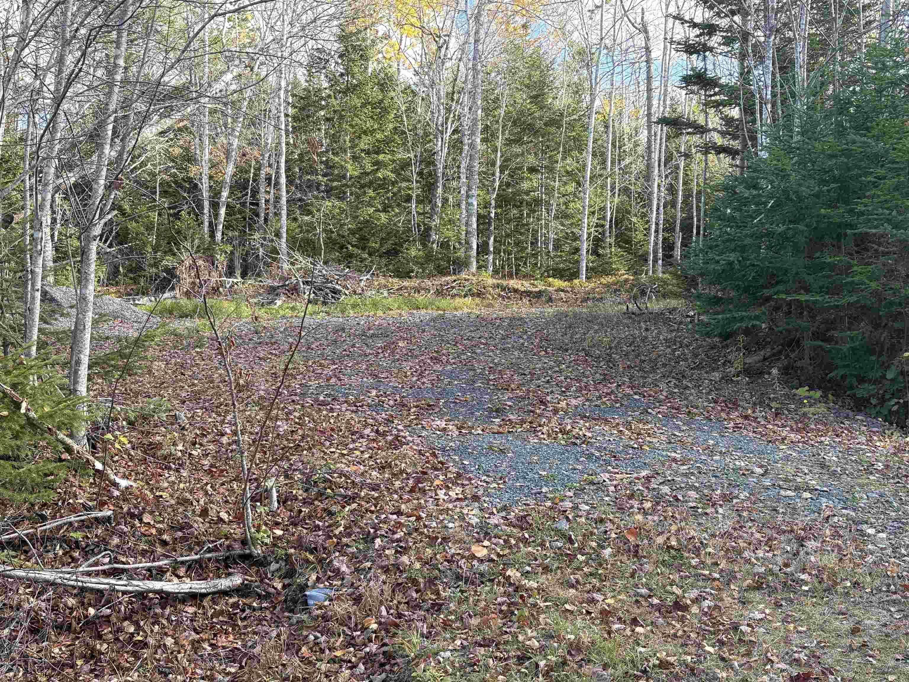 $25,000.00: Lot 8 Shady Lane, Loch Broom