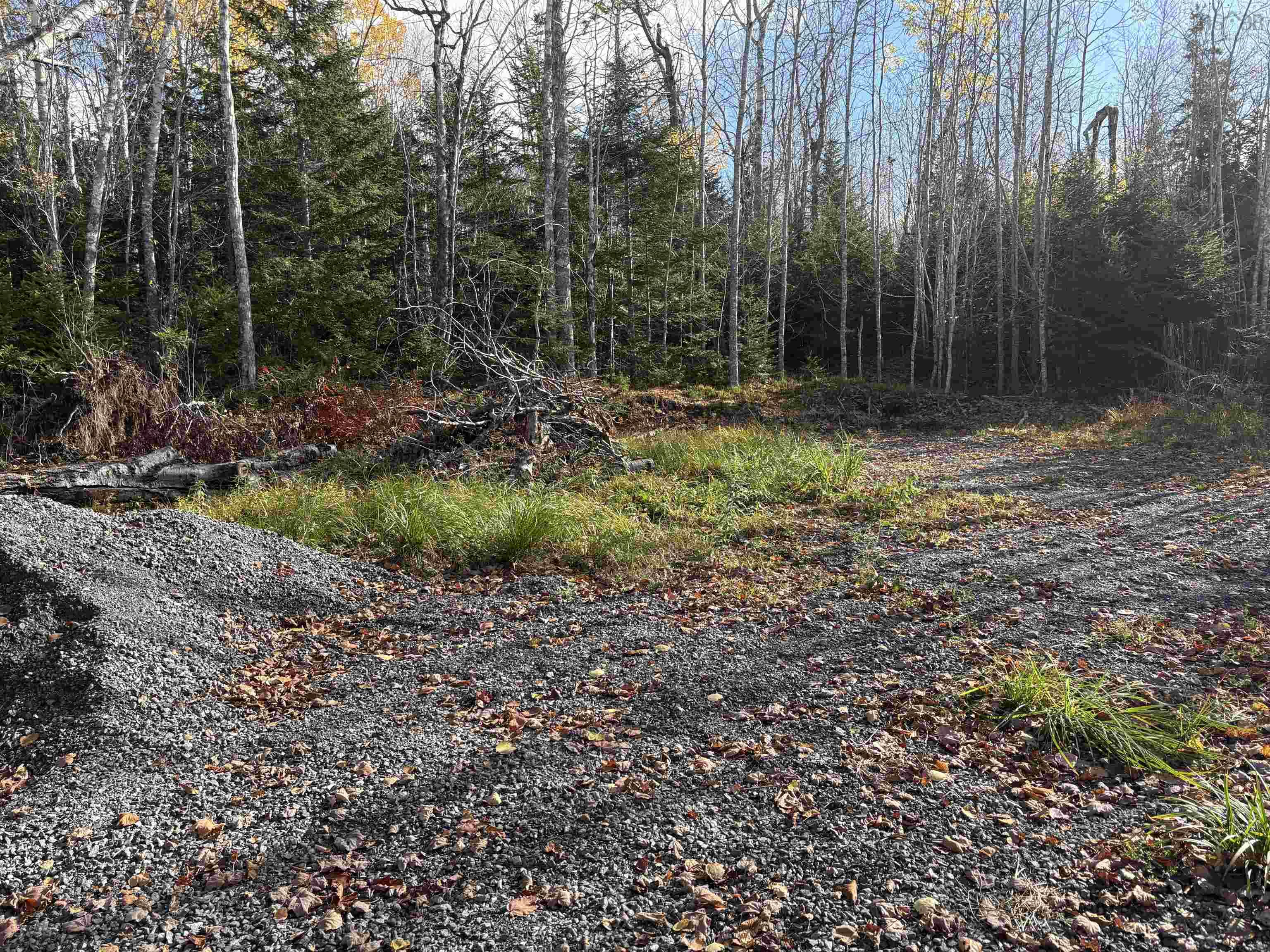 $25,000.00: Lot 8 Shady Lane, Loch Broom