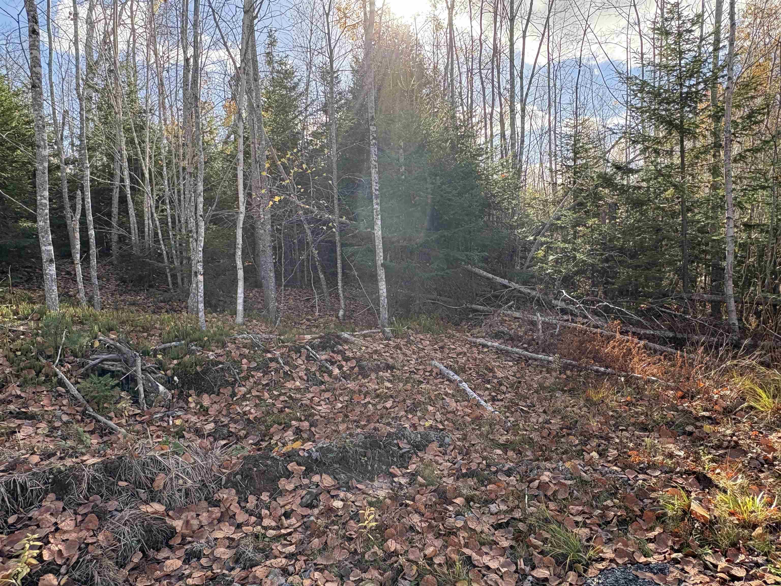 $25,000.00: Lot 8 Shady Lane, Loch Broom