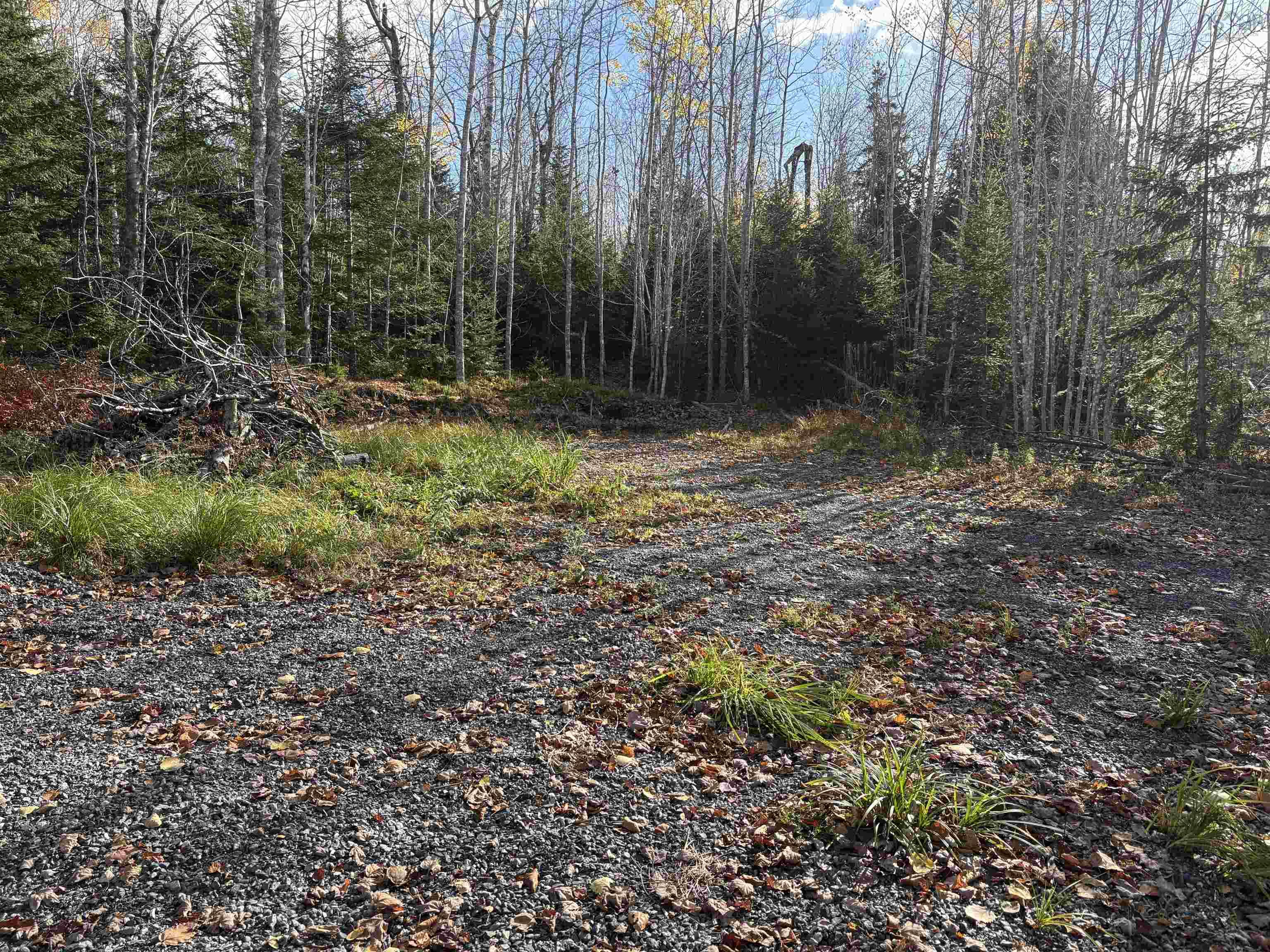 $25,000.00: Lot 8 Shady Lane, Loch Broom