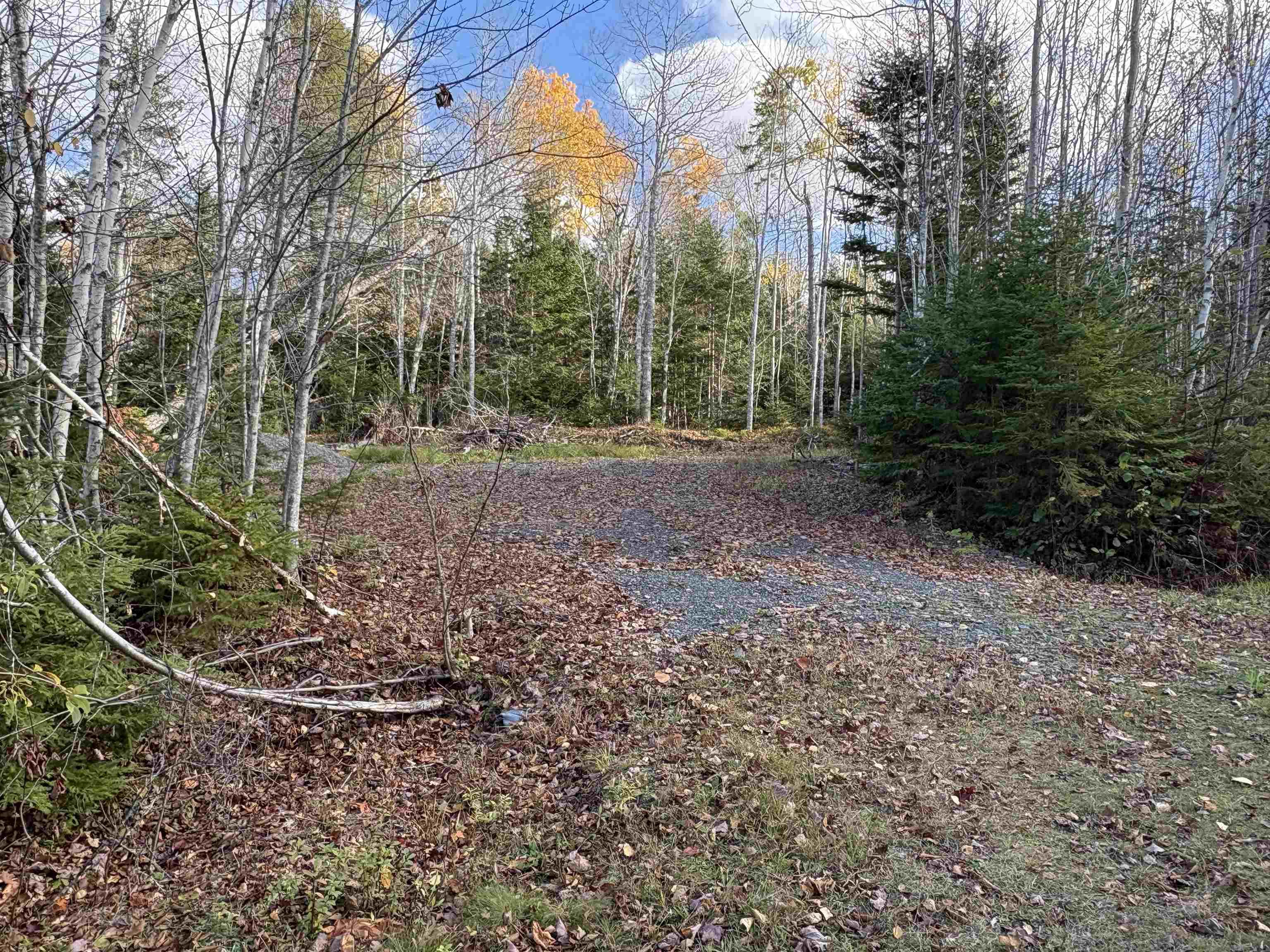 $25,000.00: Lot 8 Shady Lane, Loch Broom