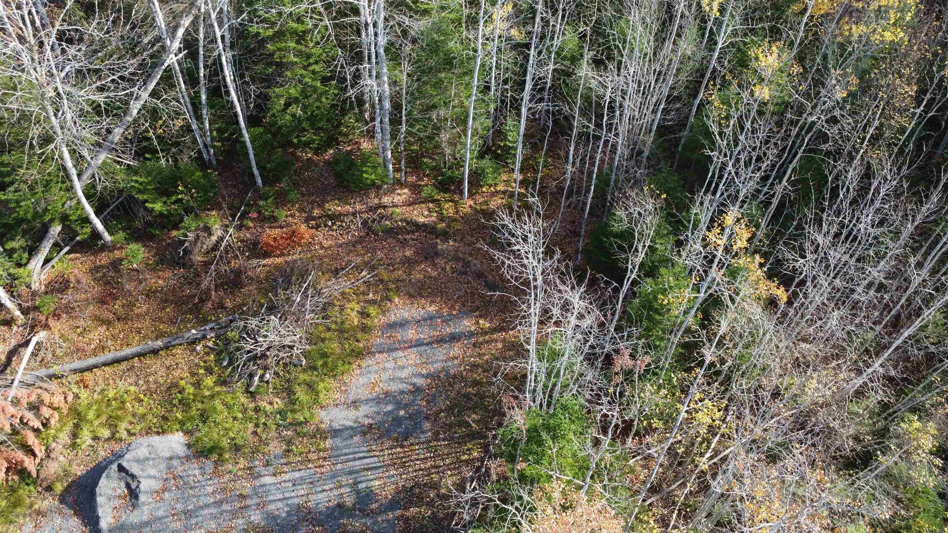 $25,000.00: Lot 8 Shady Lane, Loch Broom