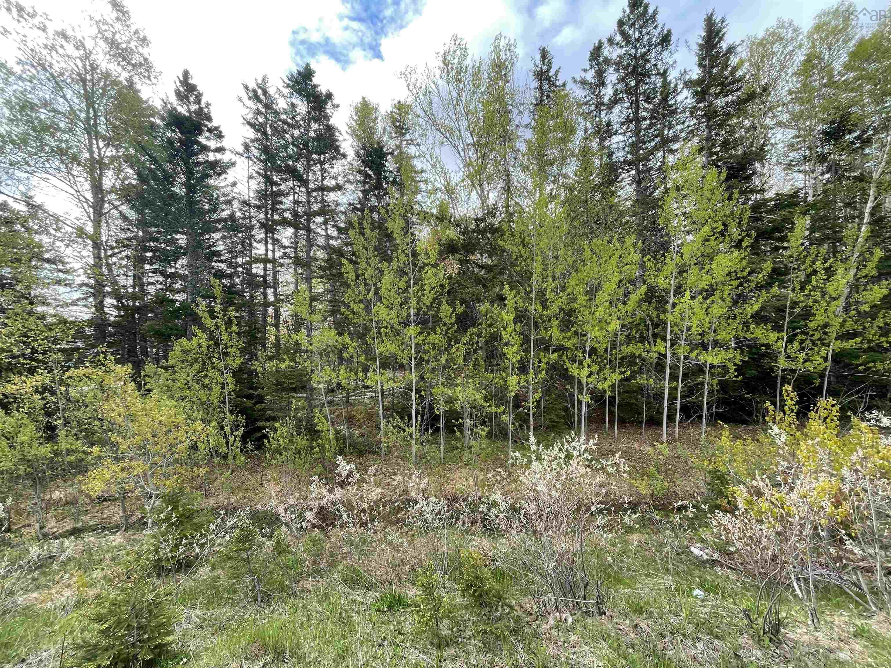 $64,000.00: Lot 1A Eskasoni Road, Northside East Bay