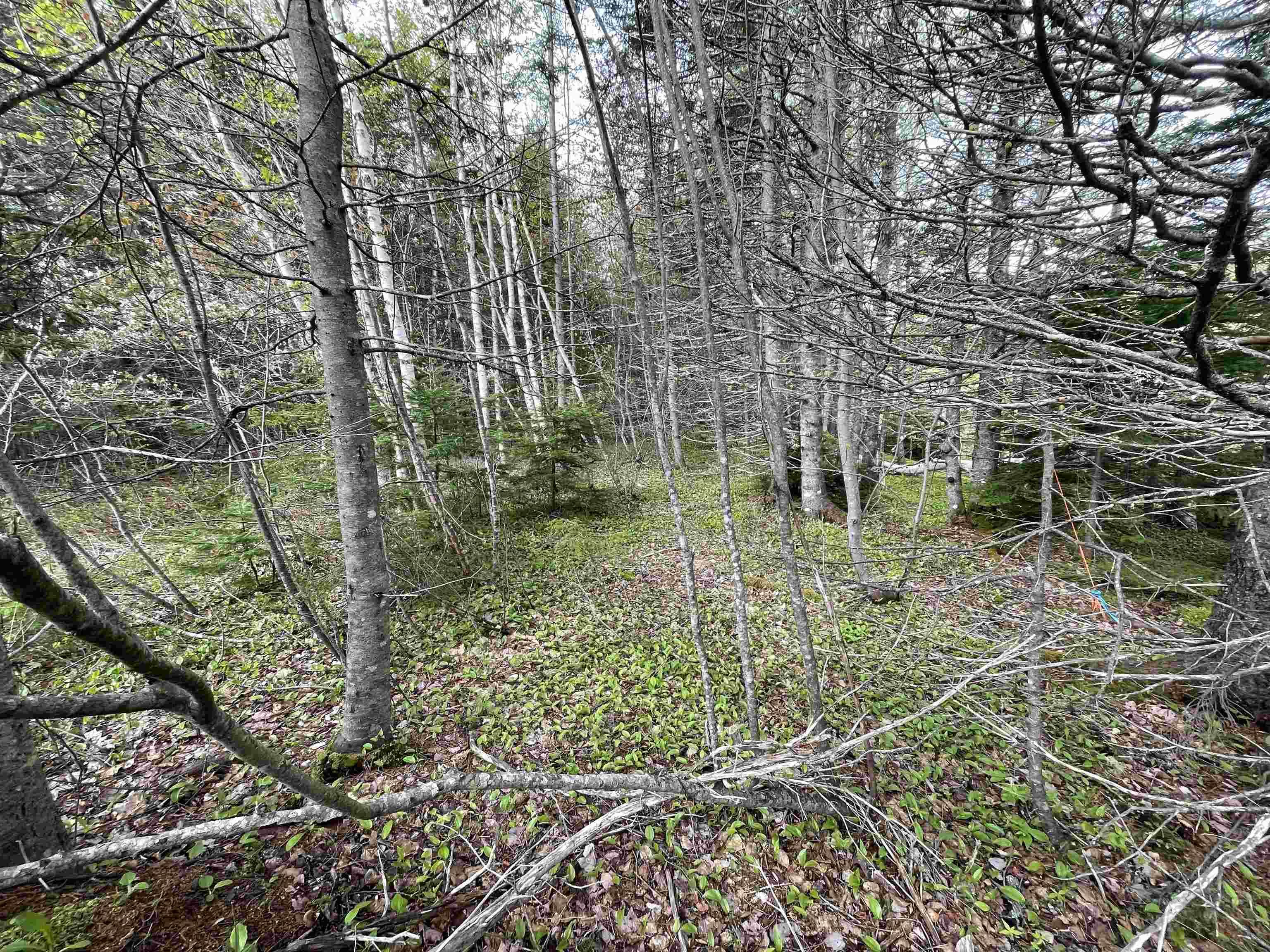 $64,000.00: Lot 1A Eskasoni Road, Northside East Bay