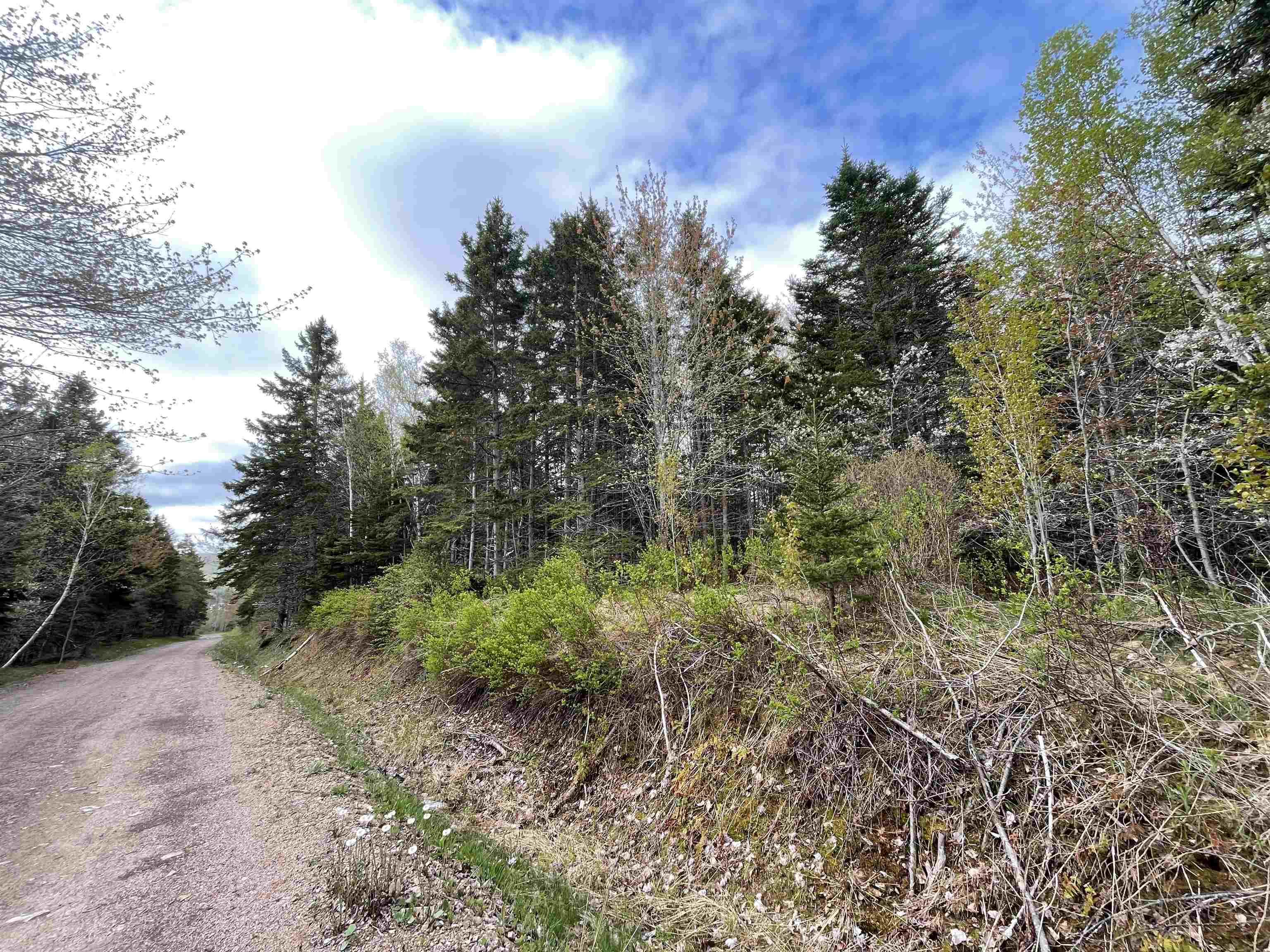 $64,000.00: Lot 1A Eskasoni Road, Northside East Bay
