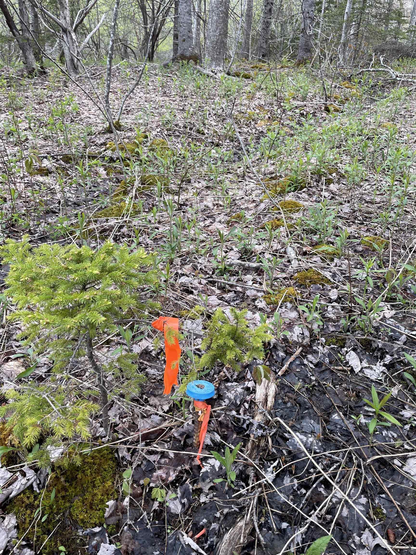 $64,000.00: Lot 1A Eskasoni Road, Northside East Bay