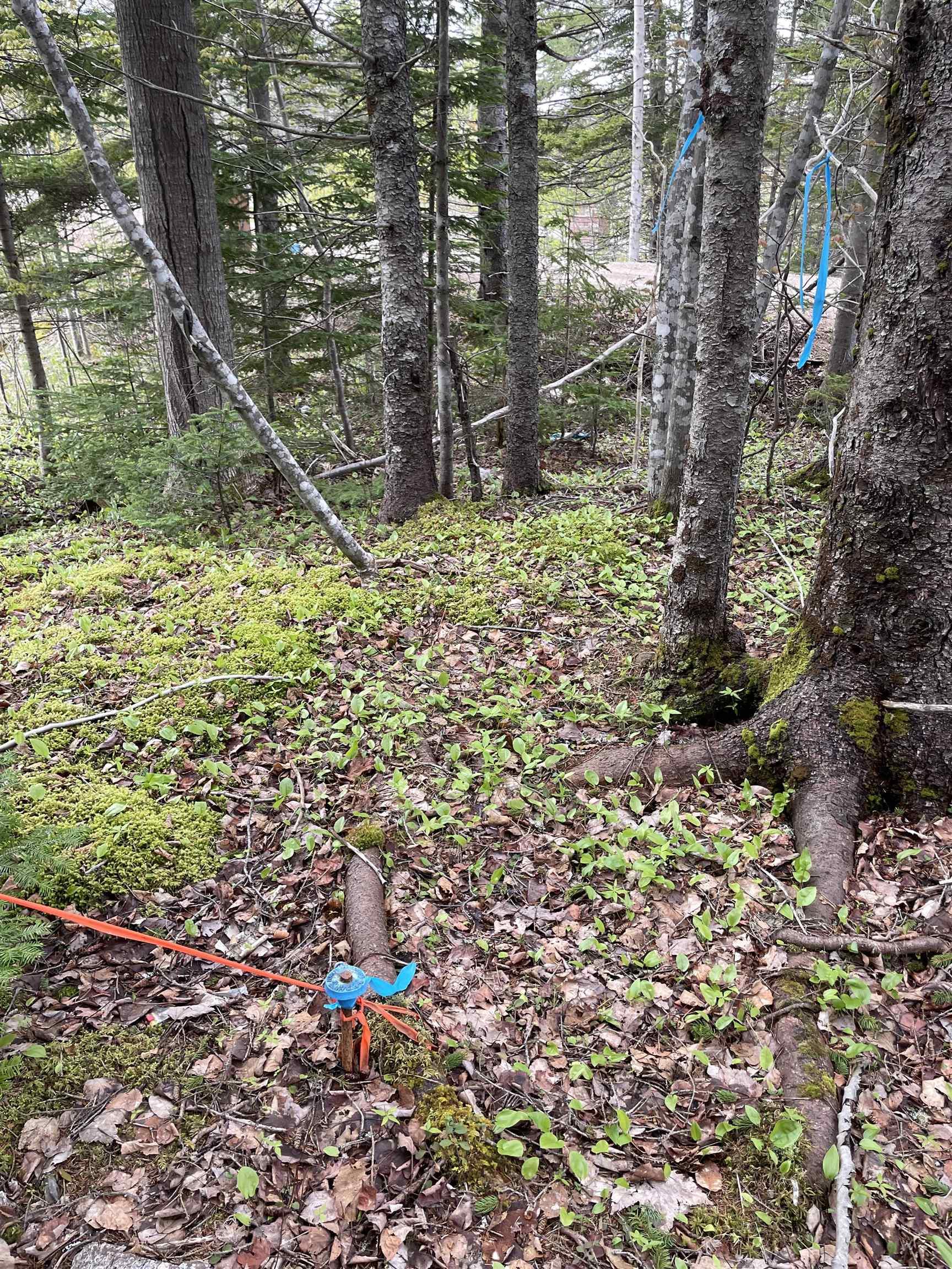 $64,000.00: Lot 1A Eskasoni Road, Northside East Bay