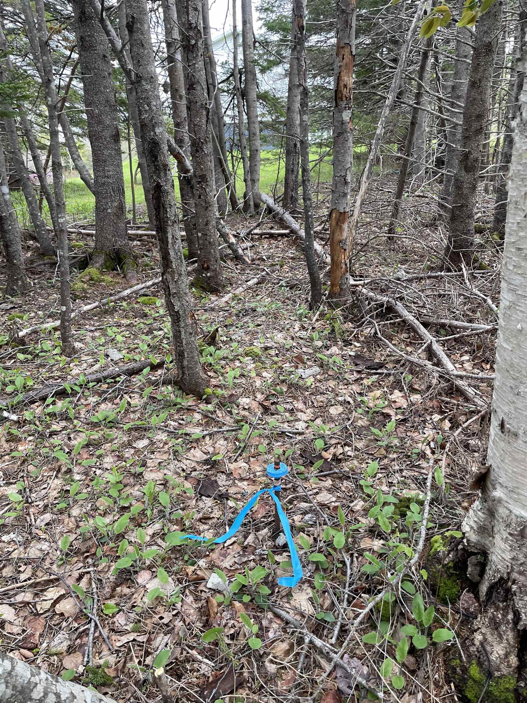 $64,000.00: Lot 1A Eskasoni Road, Northside East Bay