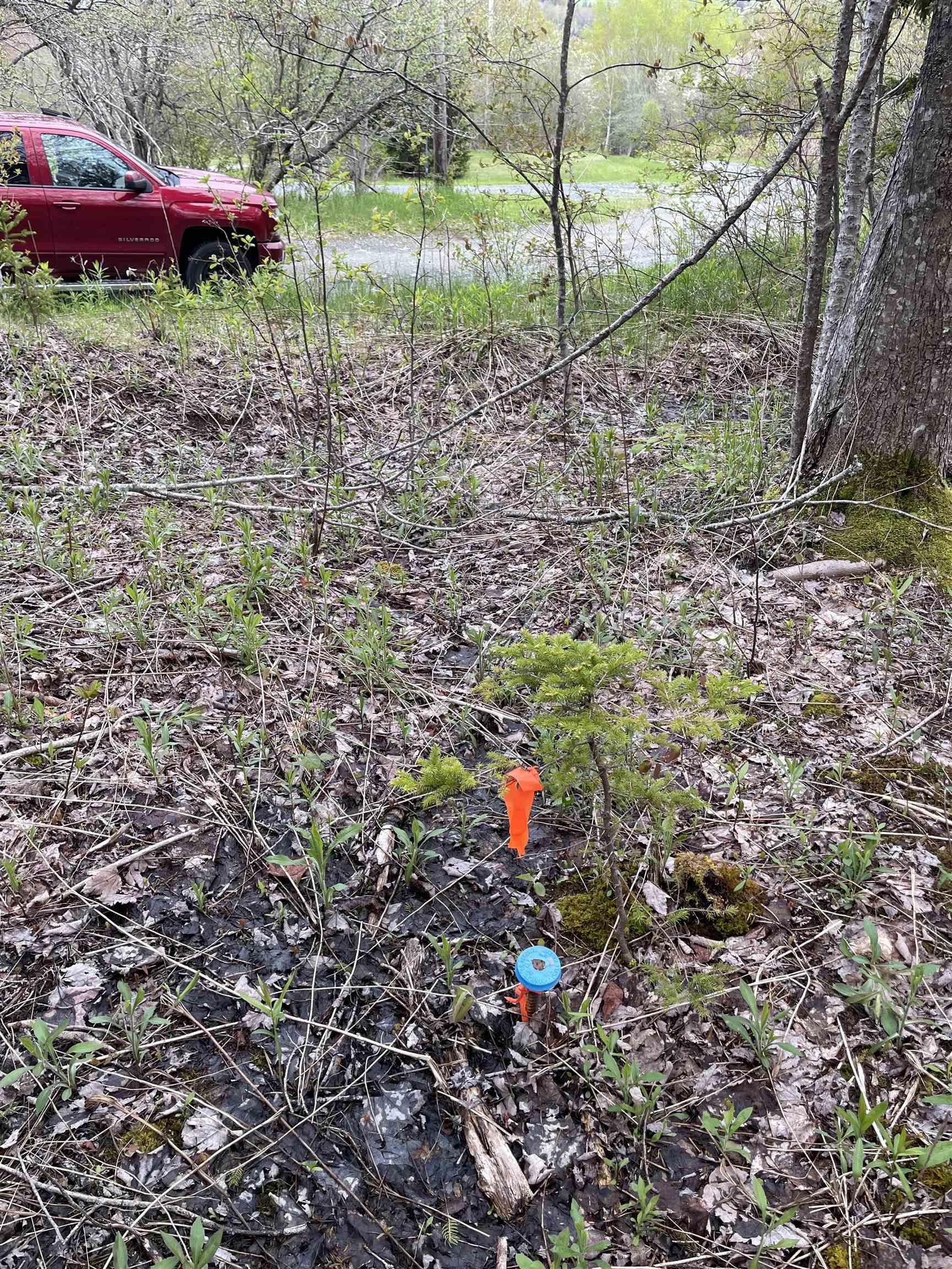 $64,000.00: Lot 1A Eskasoni Road, Northside East Bay