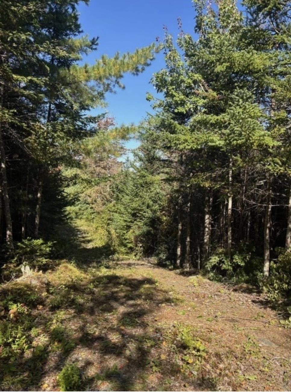 Lot 23 Anderson Drive, Goldenville, NS (MLS 202612711)
