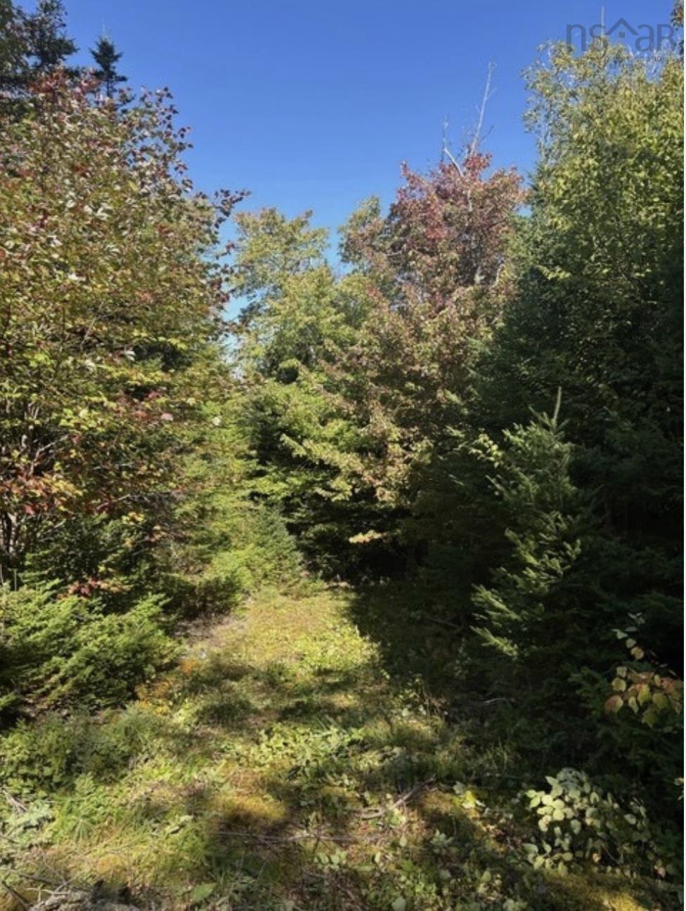 Lot 23 Anderson Drive, Goldenville, NS (MLS 202612711)