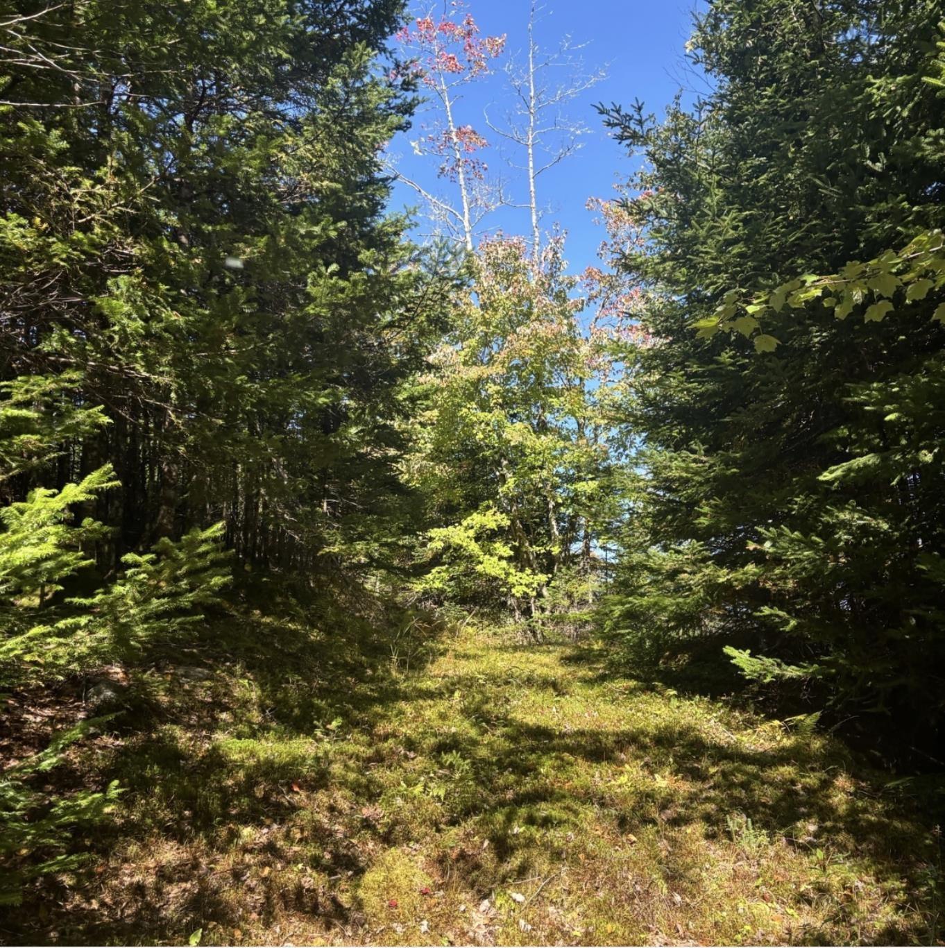 Lot 23 Anderson Drive, Goldenville, NS (MLS 202612711)