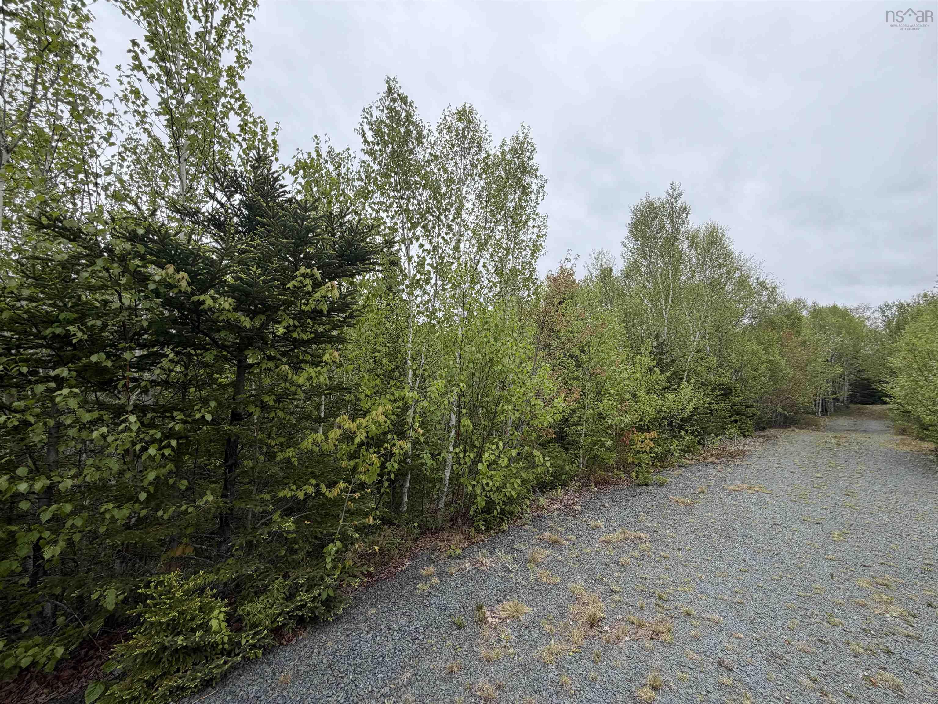 Lot 23 Anderson Drive, Goldenville, NS (MLS 202612711)