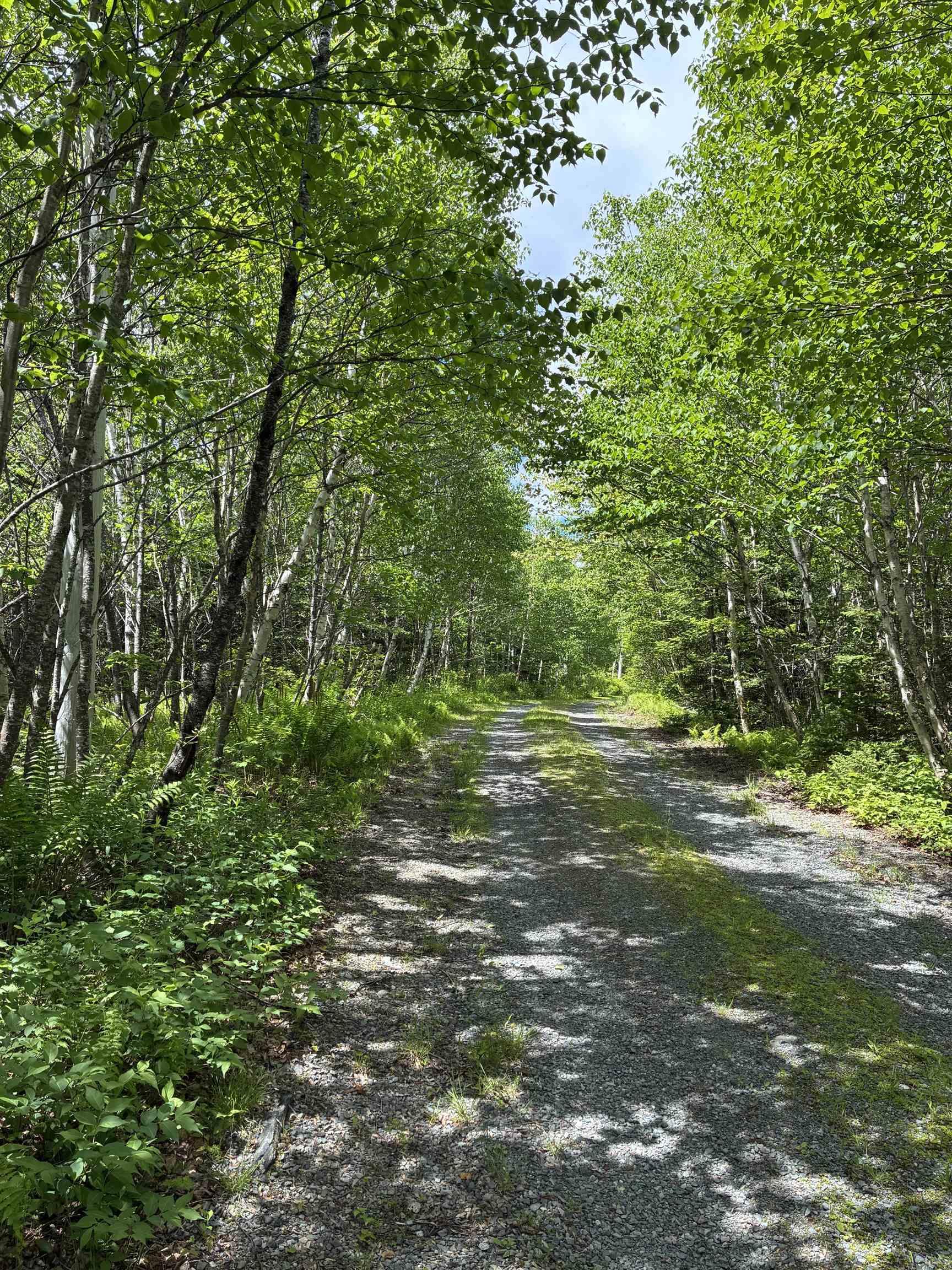$599,000.00: 7600 Highway 7 Highway, Goldenville