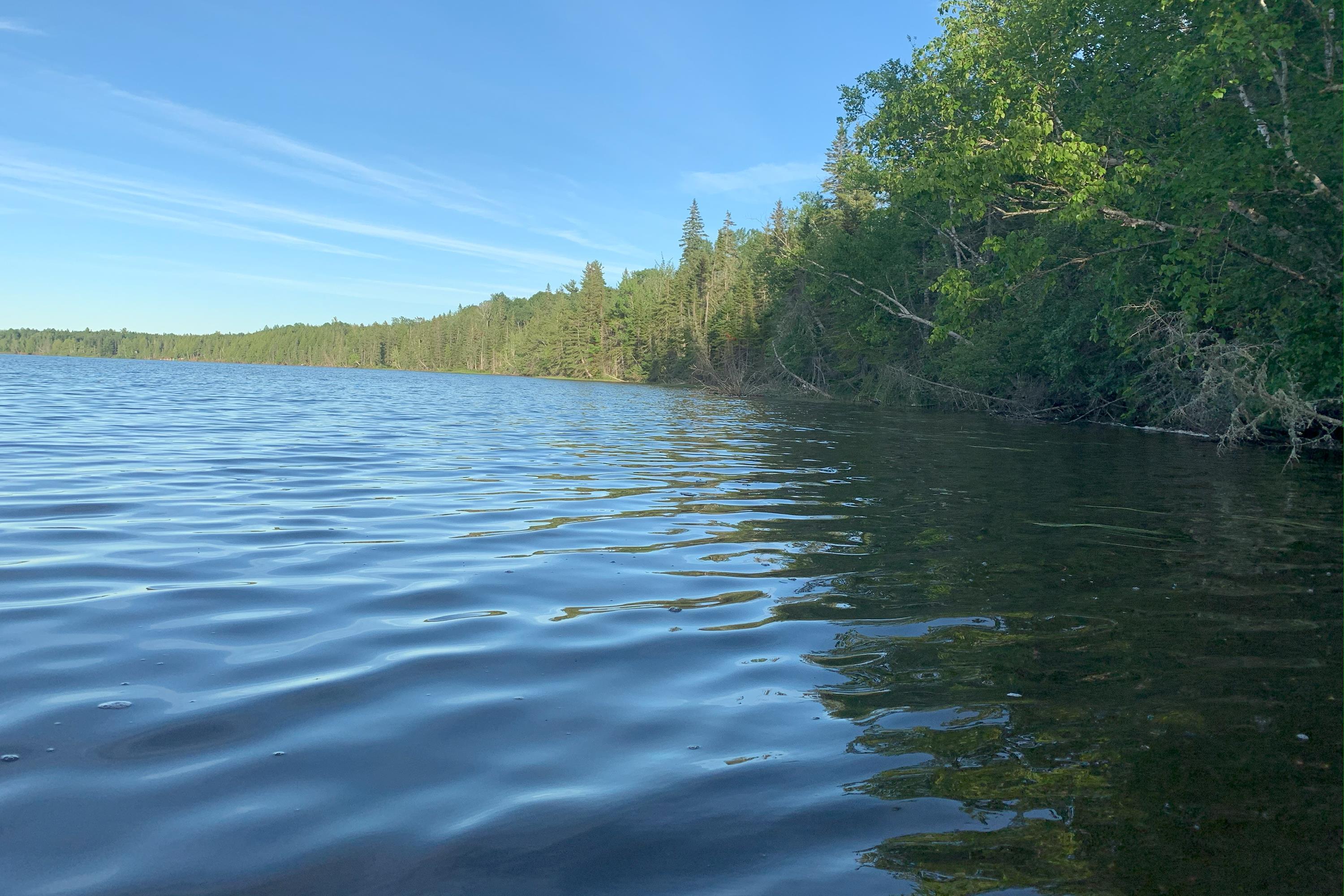 $36,000.00: Lot 21 Black Lake Road, Black Lake
