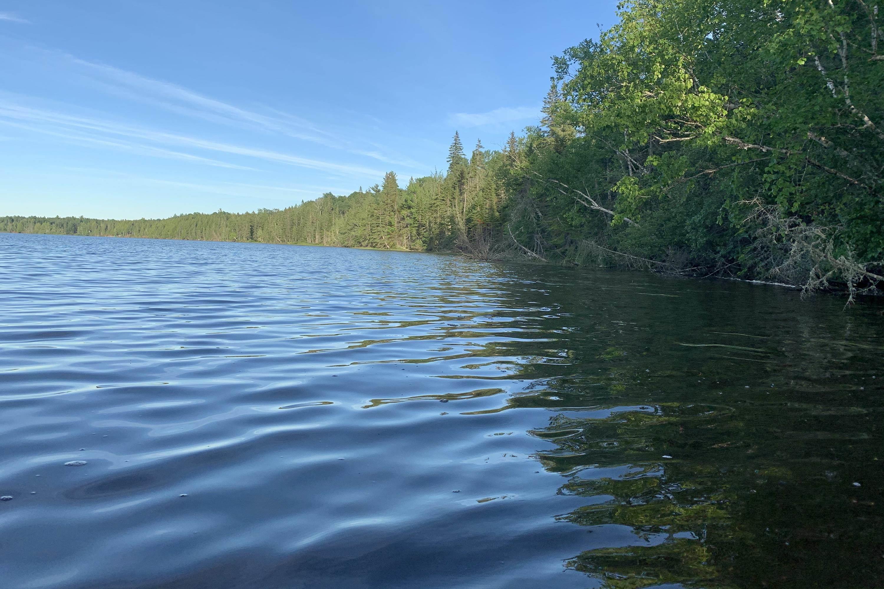 $36,000.00: Lot 21 Black Lake Road, Black Lake