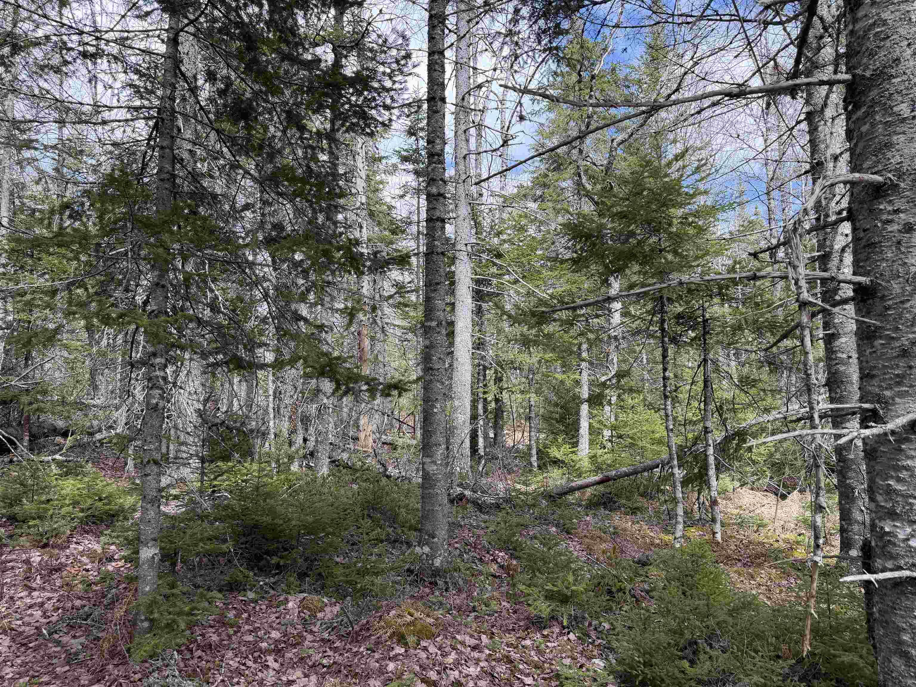 $45,000.00: Lot CL1 Palmer Road, West Wentworth